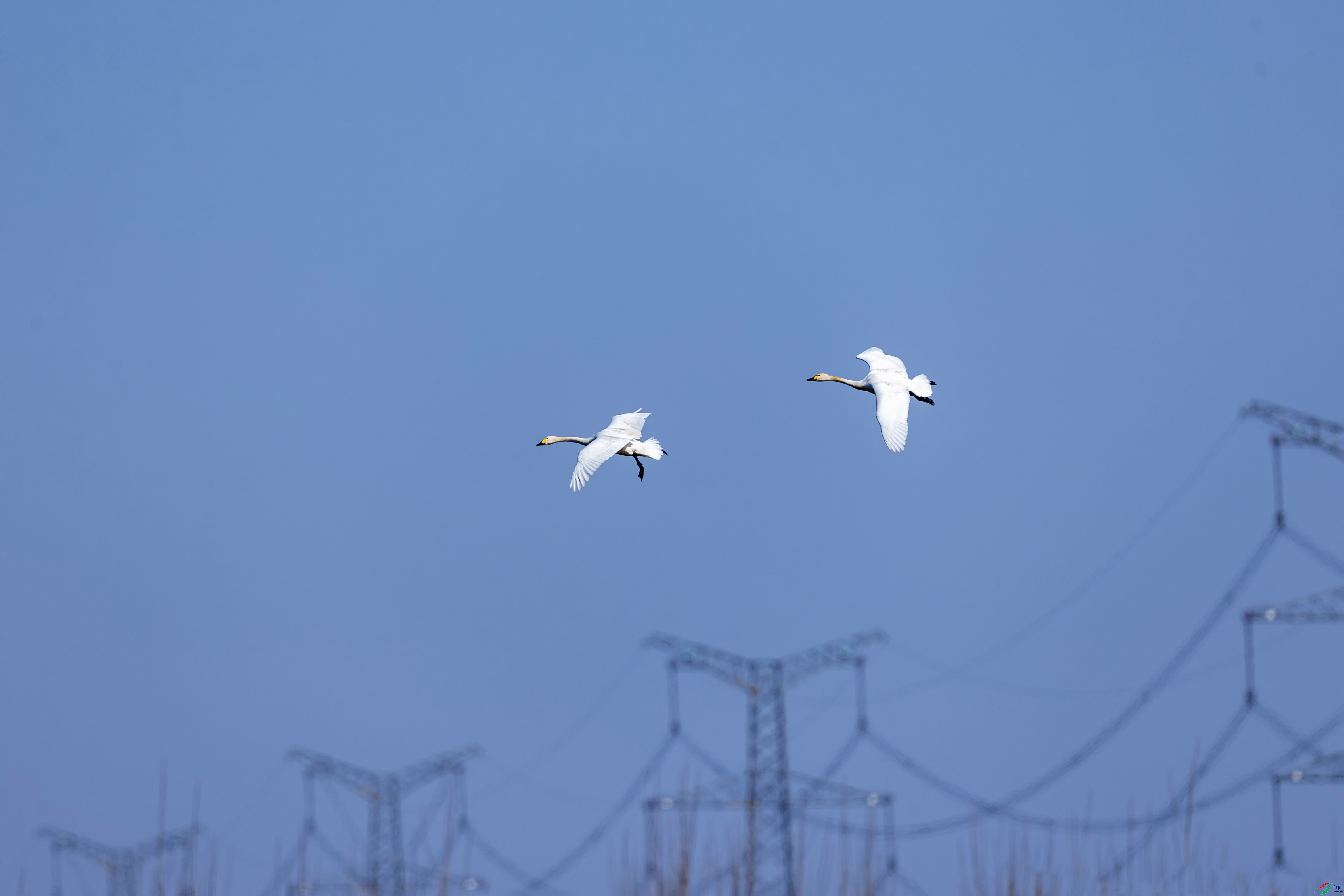 AN4I8400 ���� 2.jpg