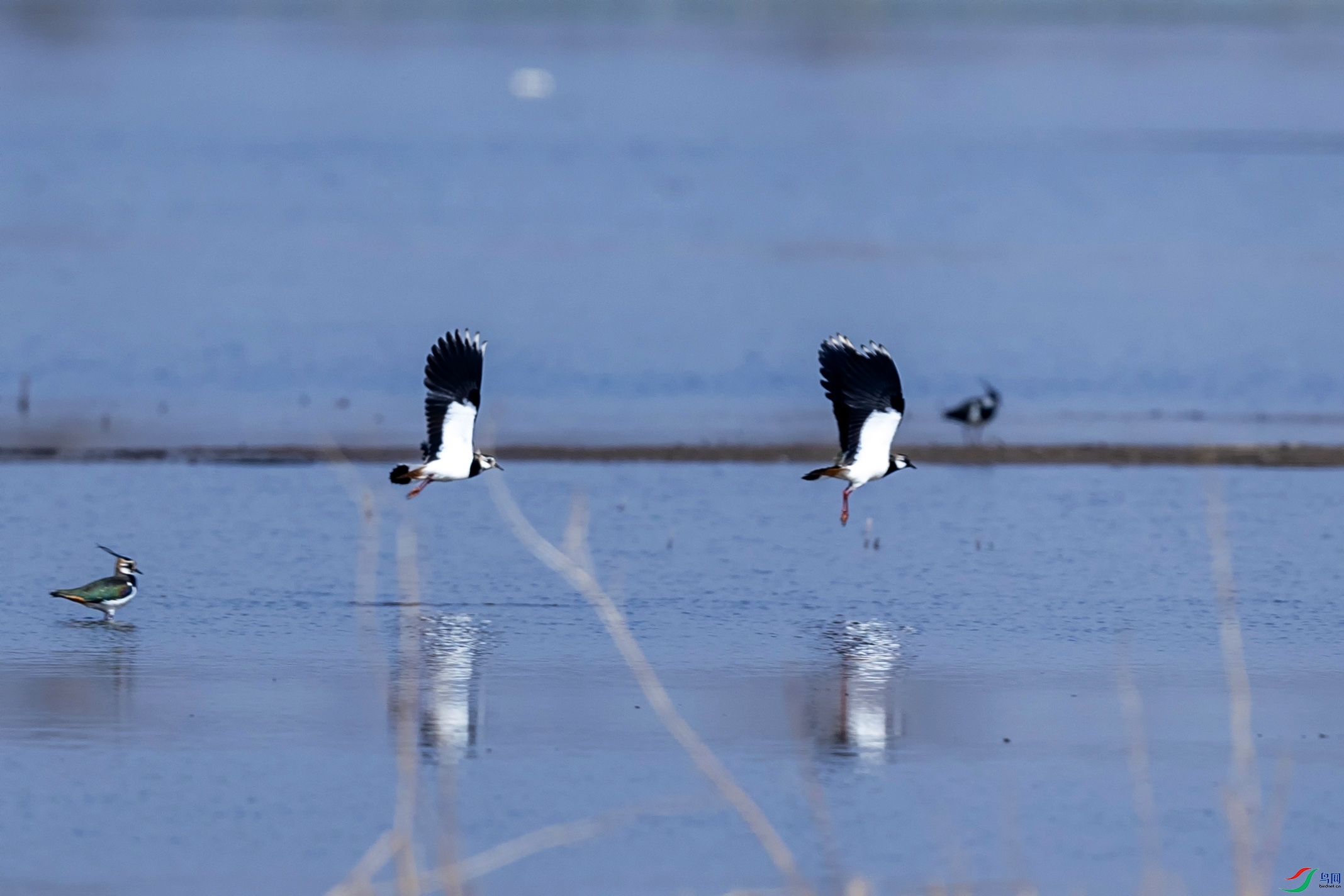 AN4I6576 ���� 3.jpg