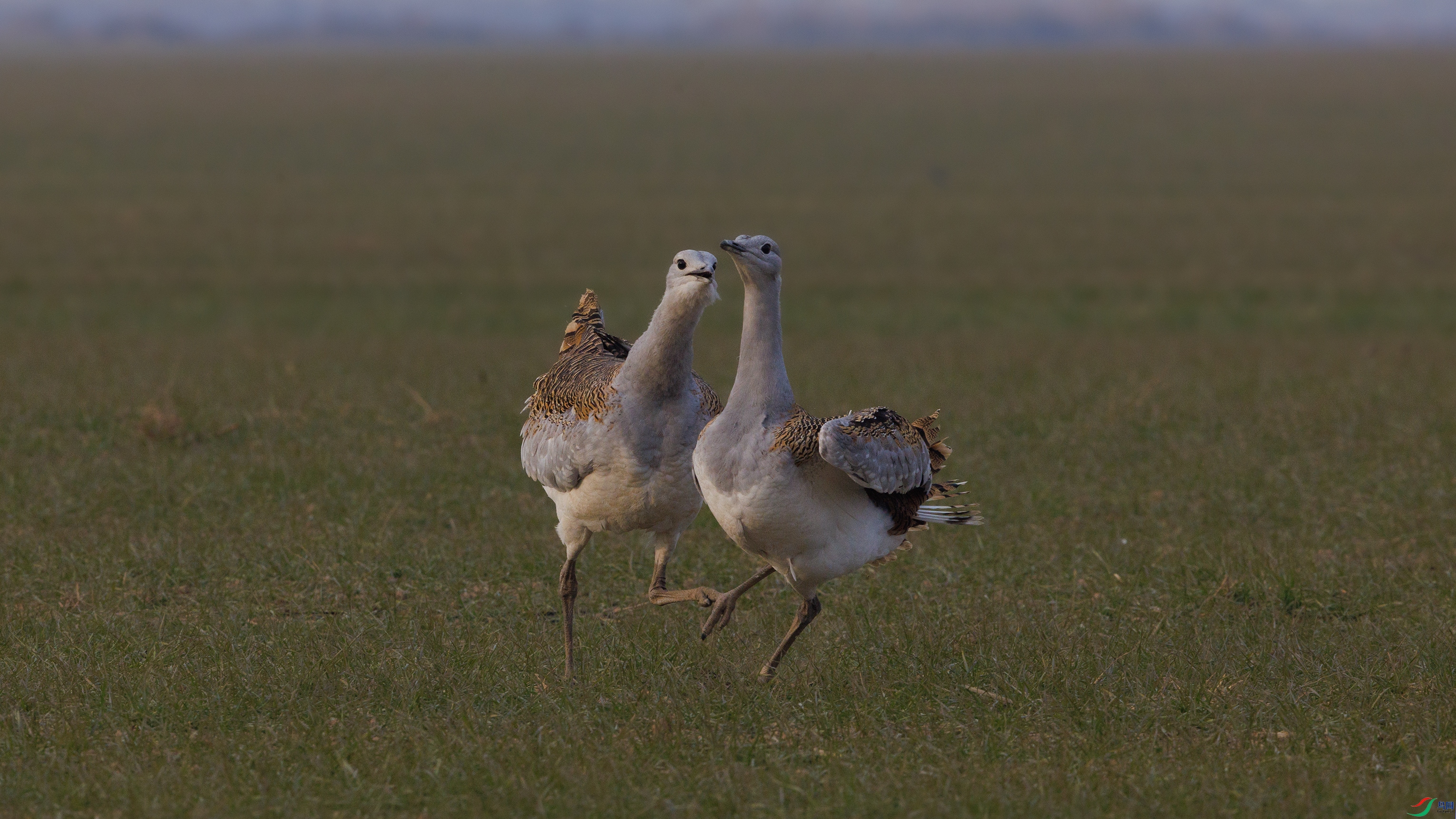 _O7A2509 ����444.jpg