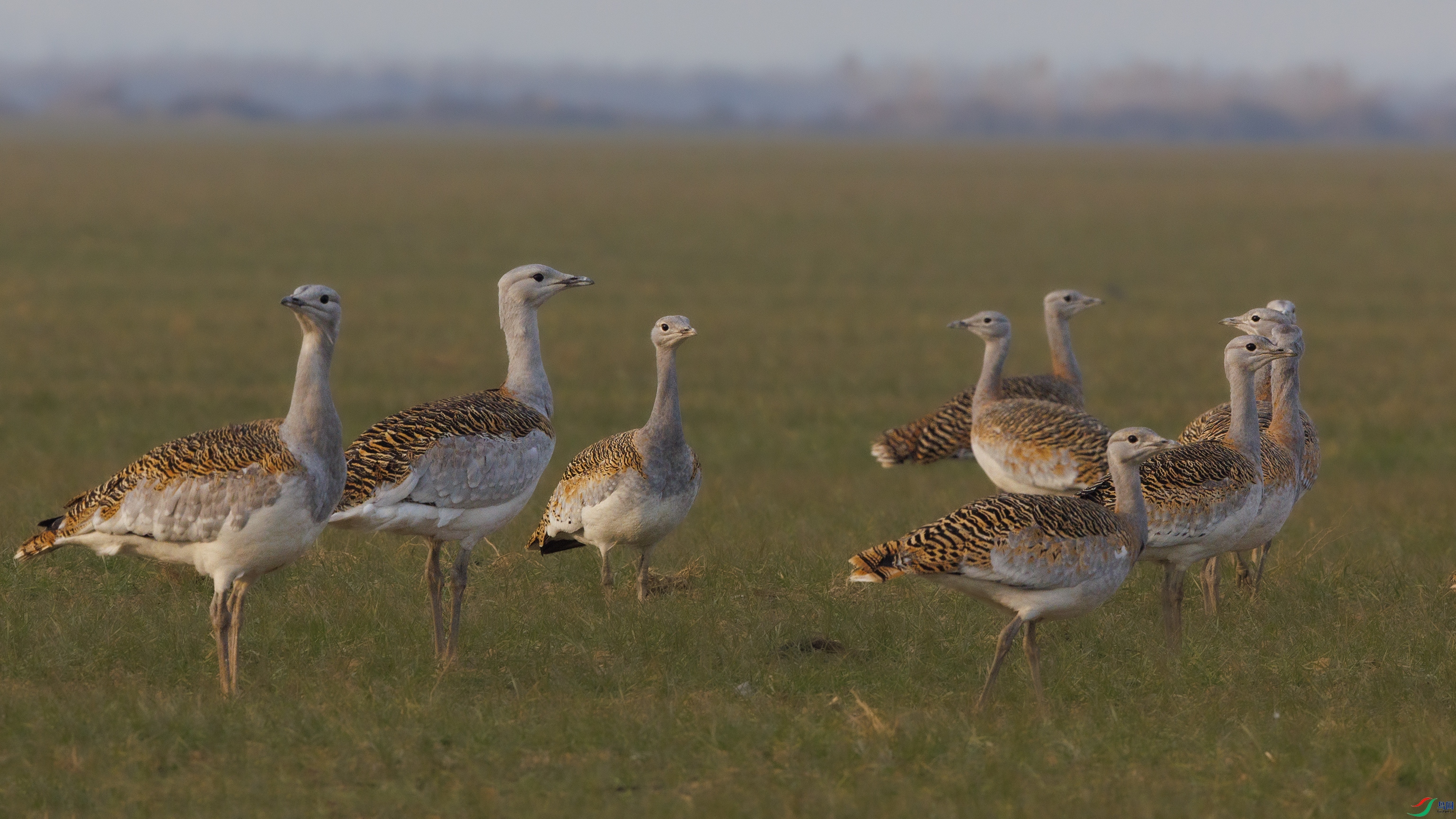 _O7A2619 ����4444.jpg