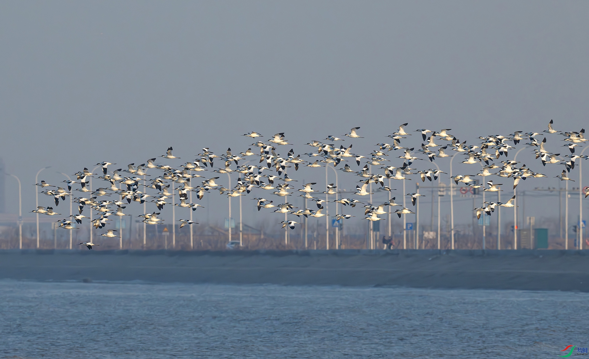 DSC_2080d2.jpg