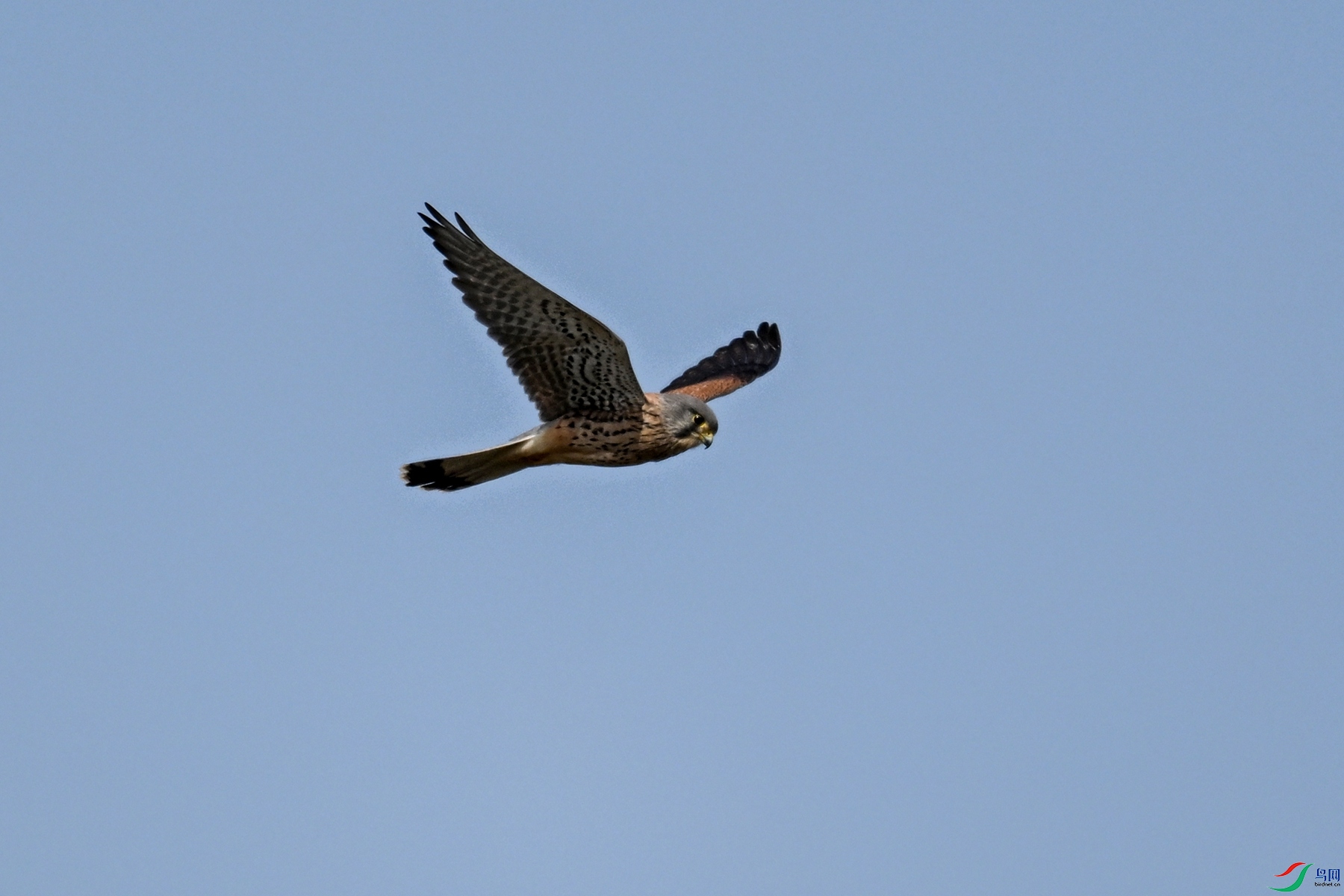 DSC_5874.JPG