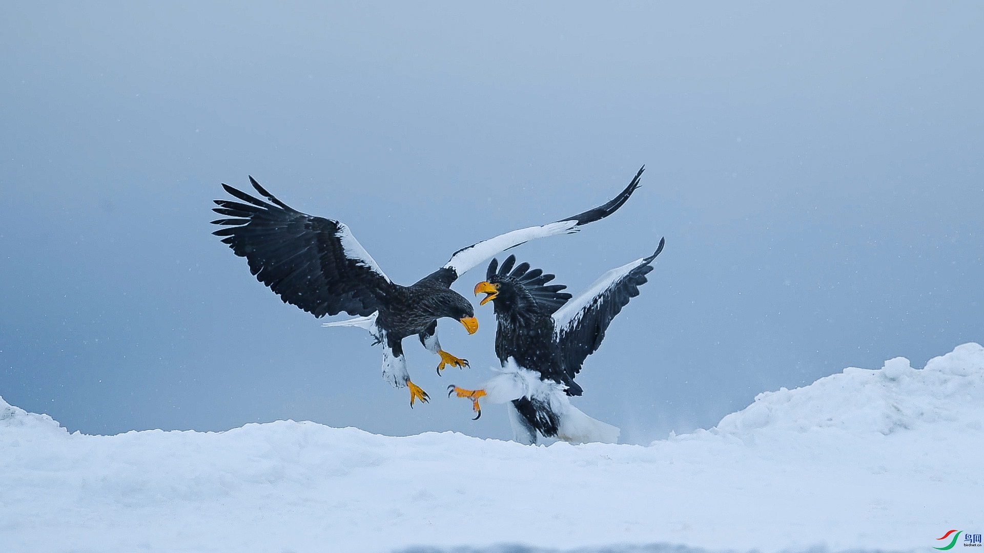 DSC_0303==1w.jpg