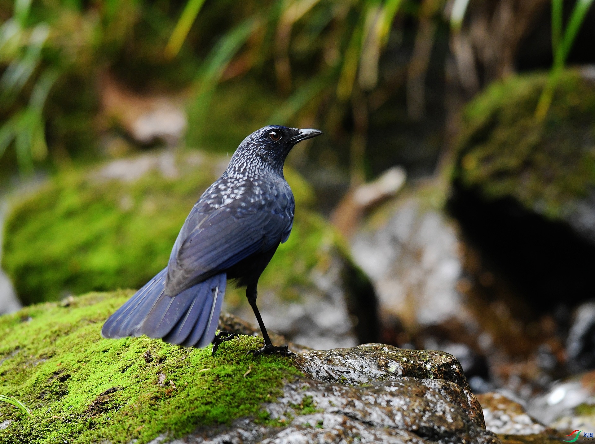 DSC_3181.jpg