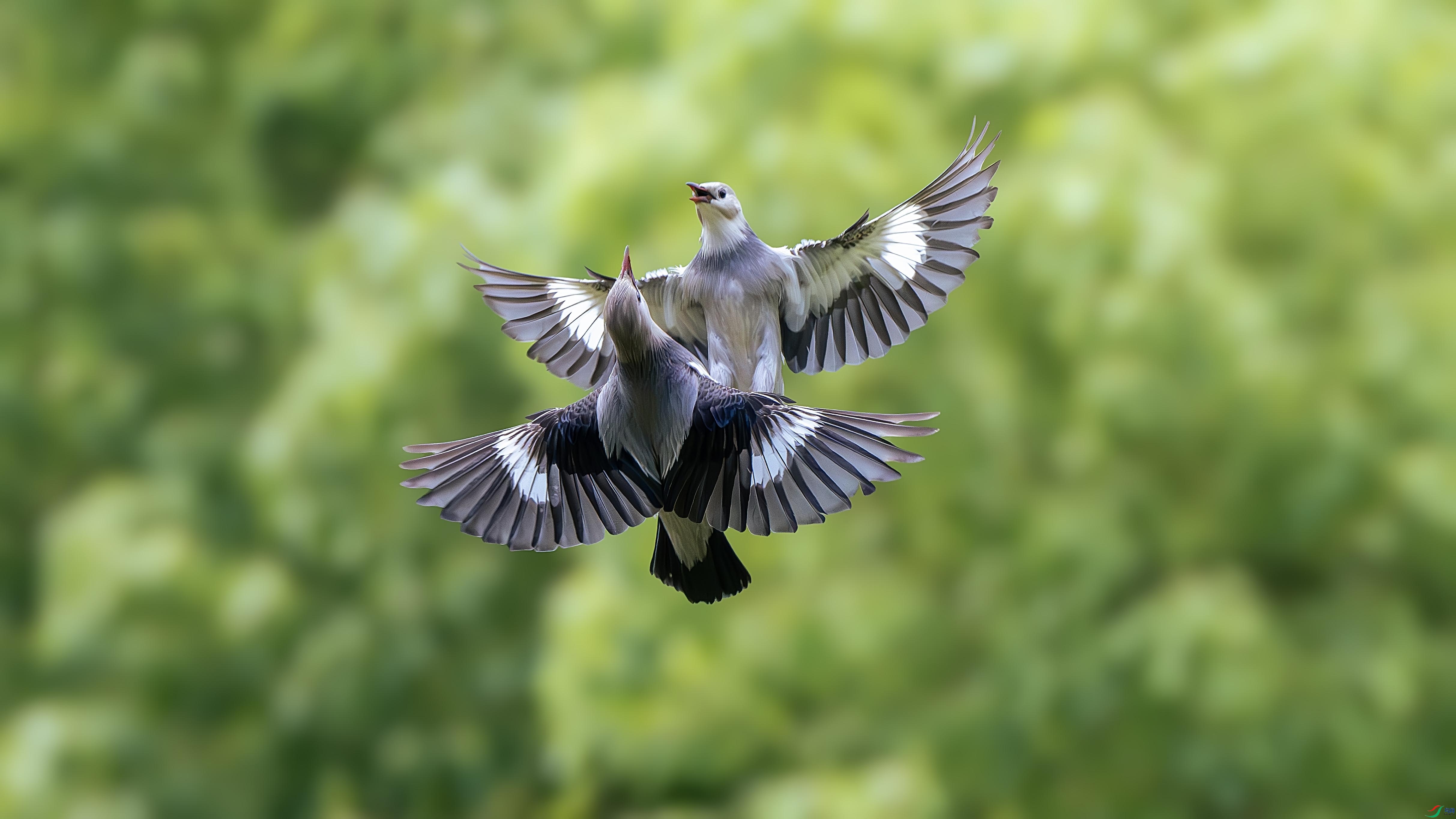 DSC_8924-����ǿ-NR ���� 2.jpg