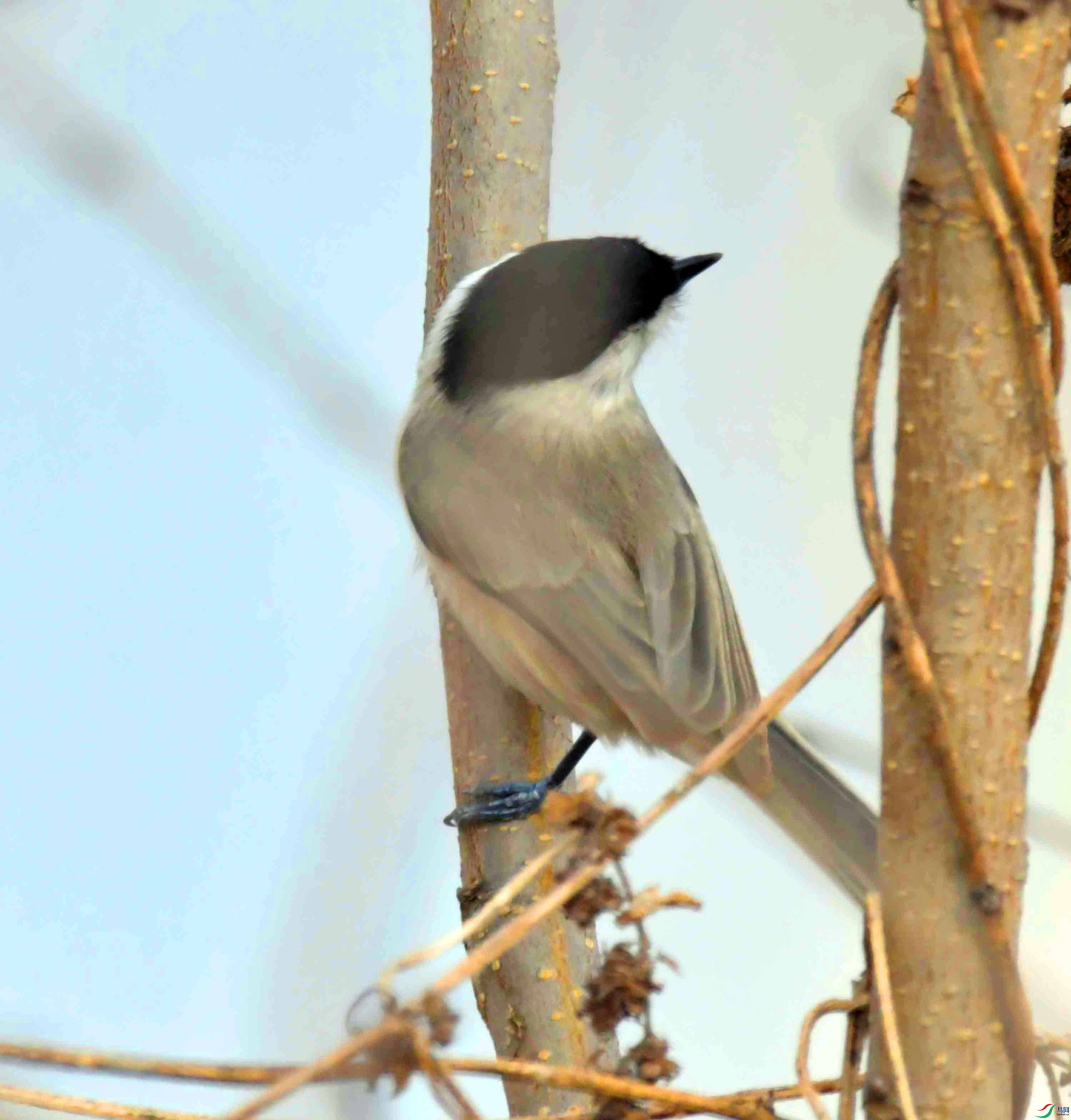 DSC_2430.JPG