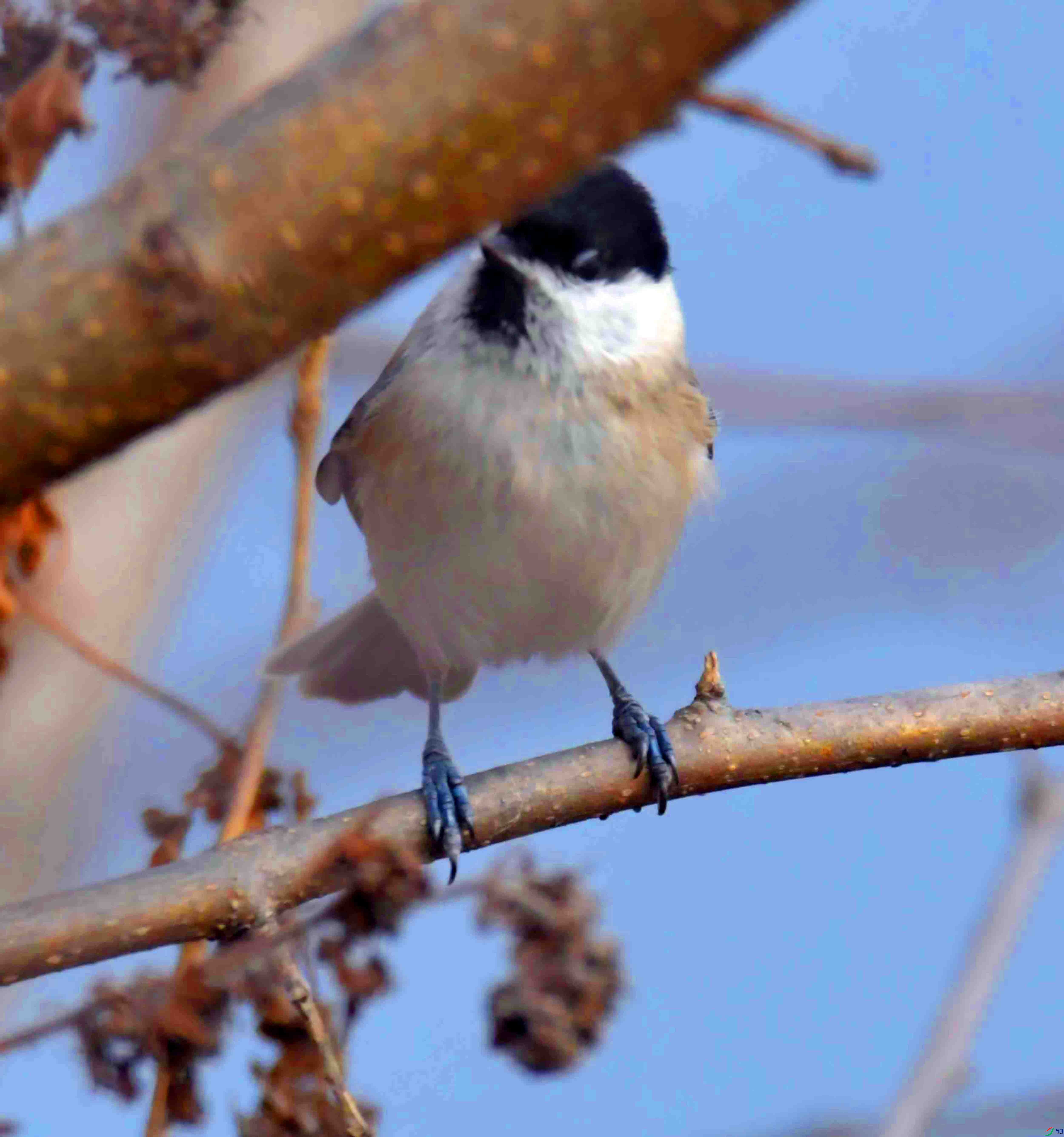 DSC_2476.JPG