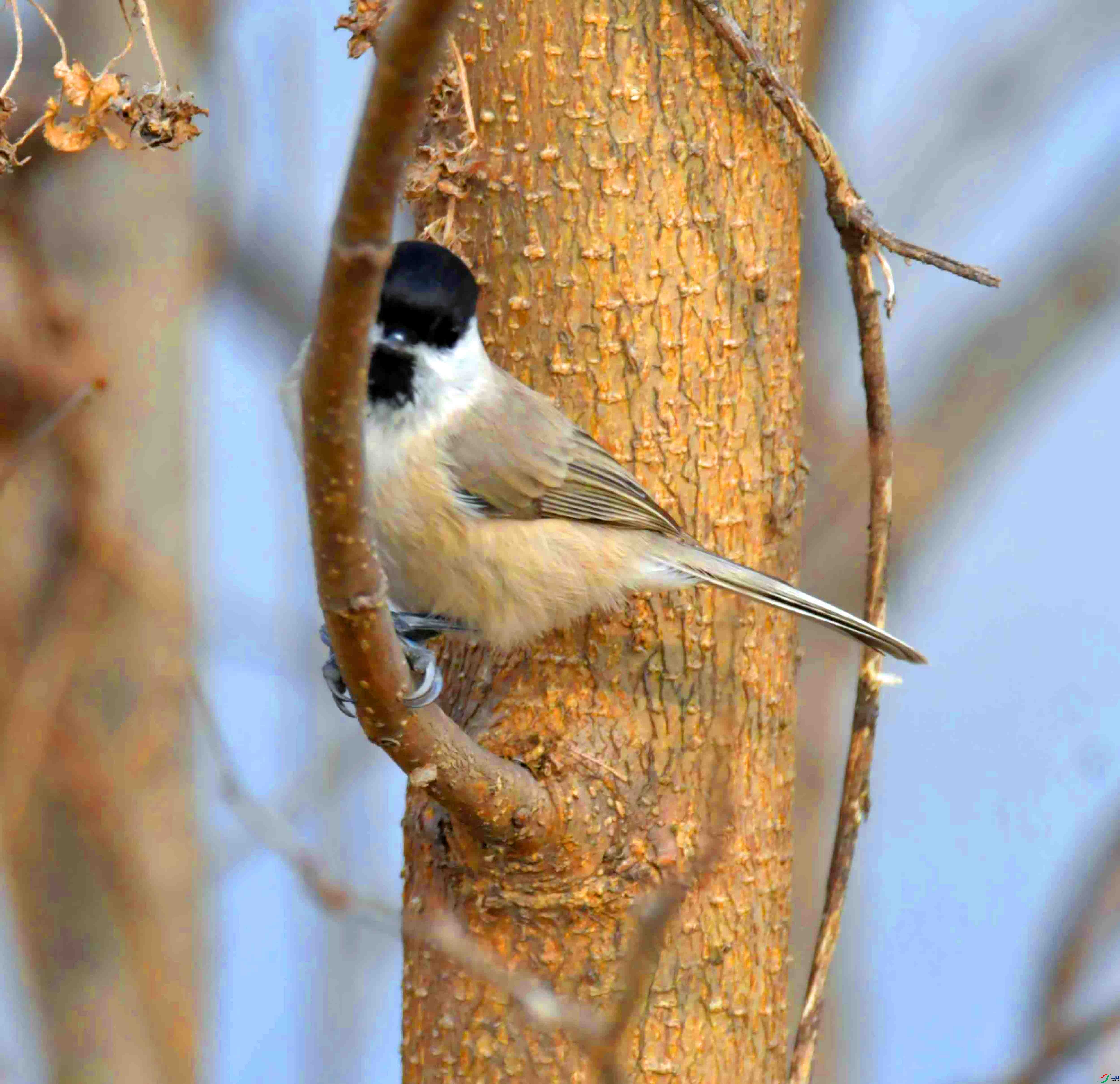 DSC_2551.JPG