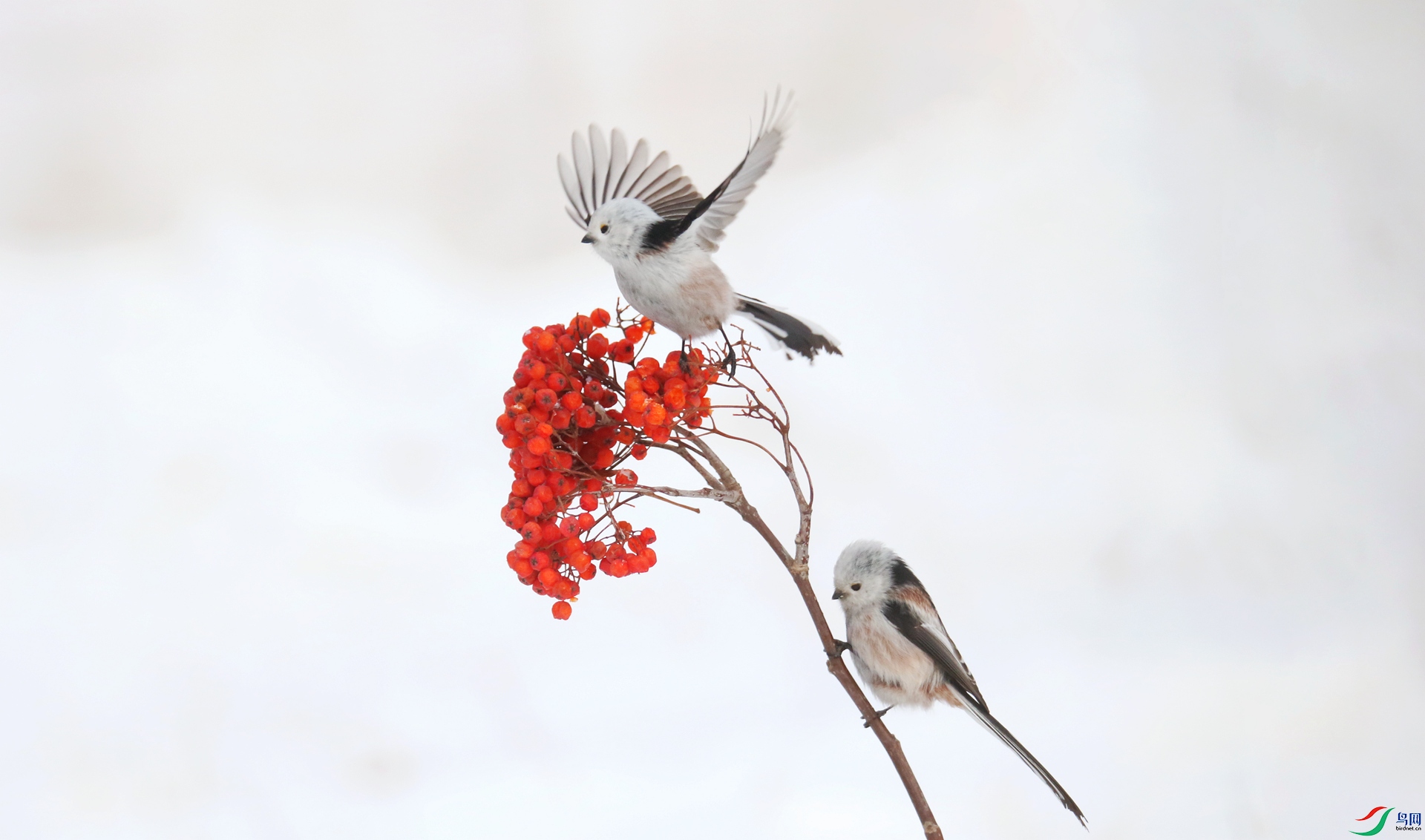 0G1A2061 ����.jpg