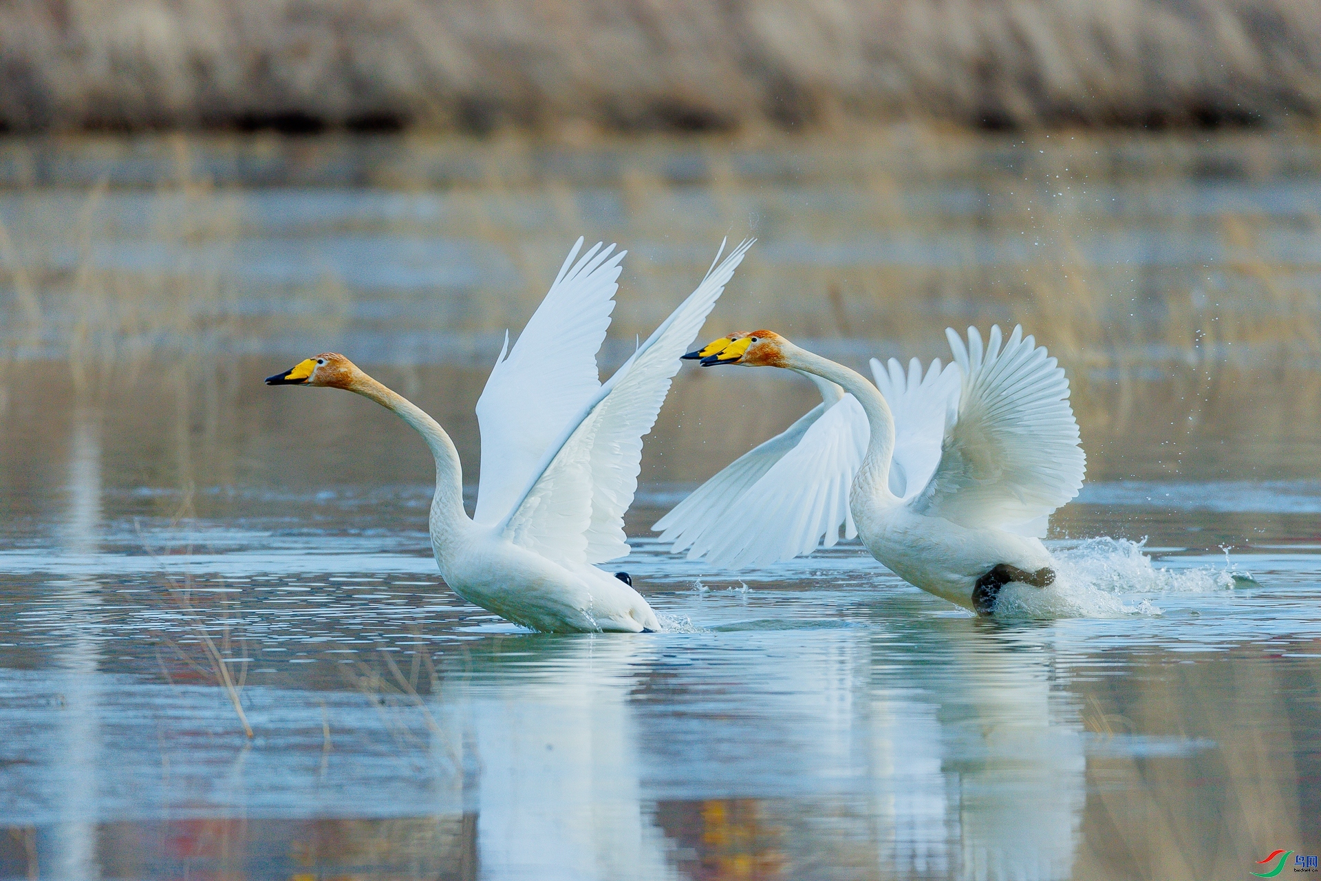 ÿ�ռ��� ��������  ���� ʫ������  ����.jpg