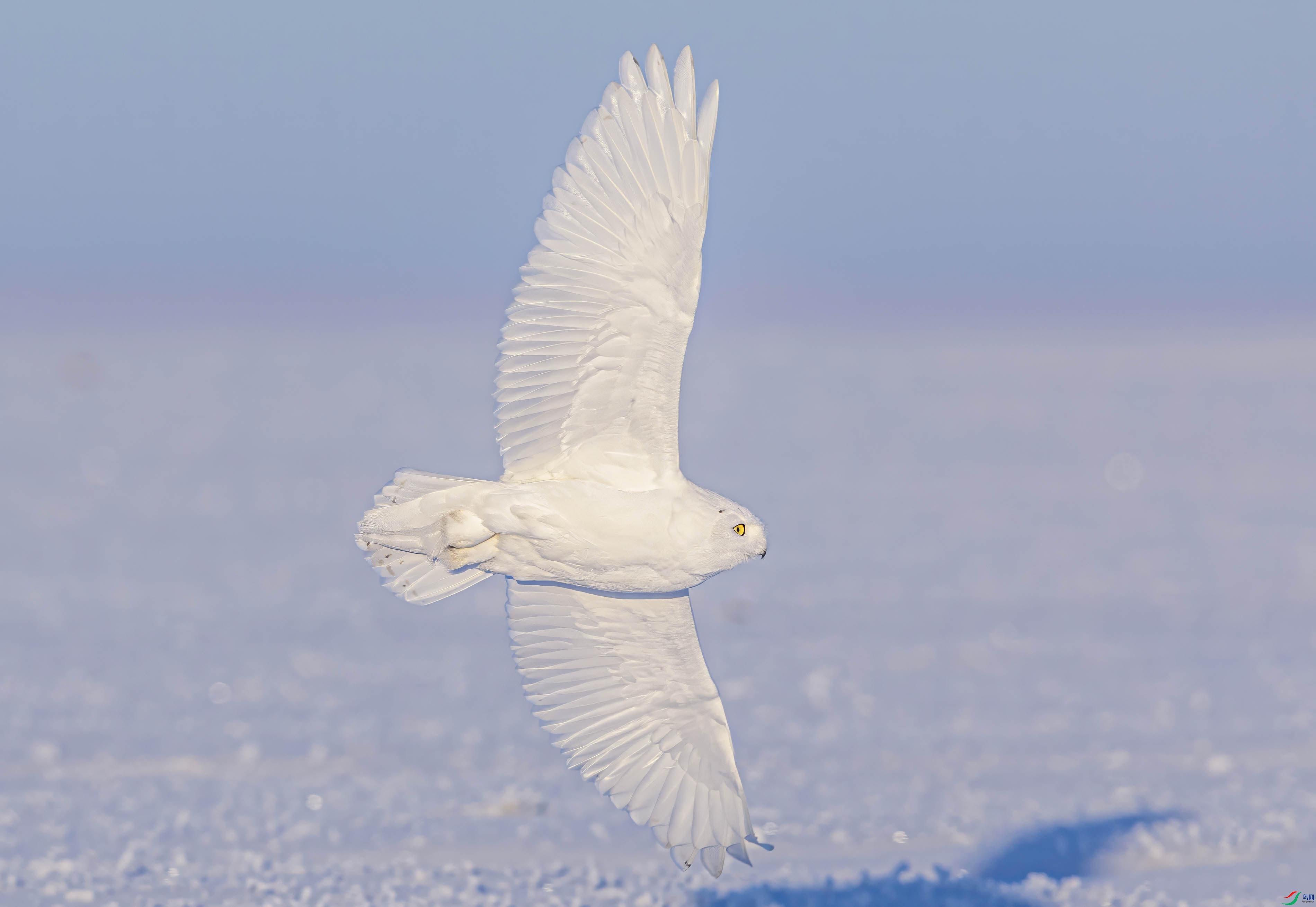 032A6175 ѩ�^���ۣ�.jpg