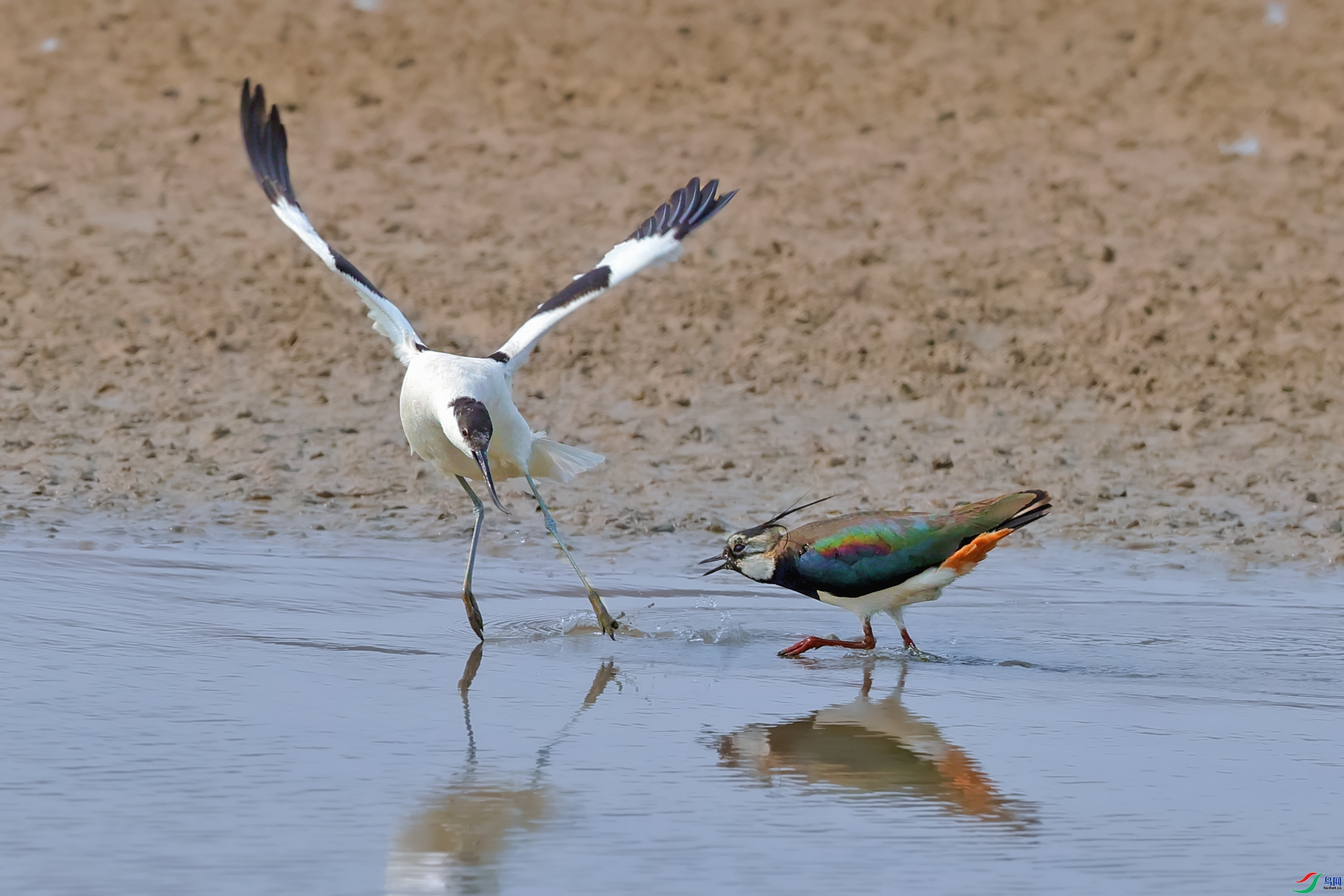 ������ ���� ���� ��һ.jpg