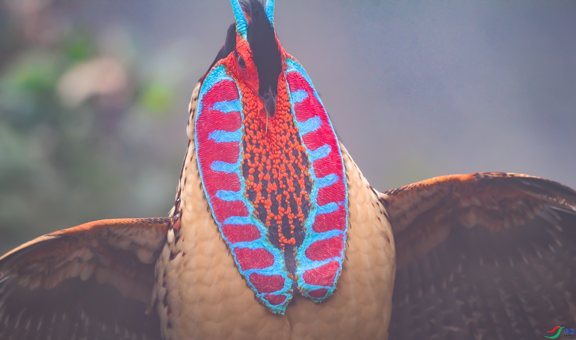 ����  ���� ���� ��һ.jpg