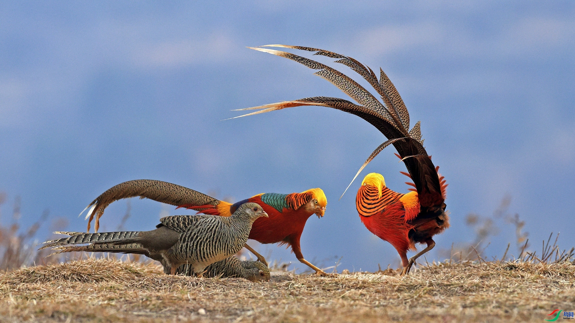 ����  ���� ������ ��һ.jpg