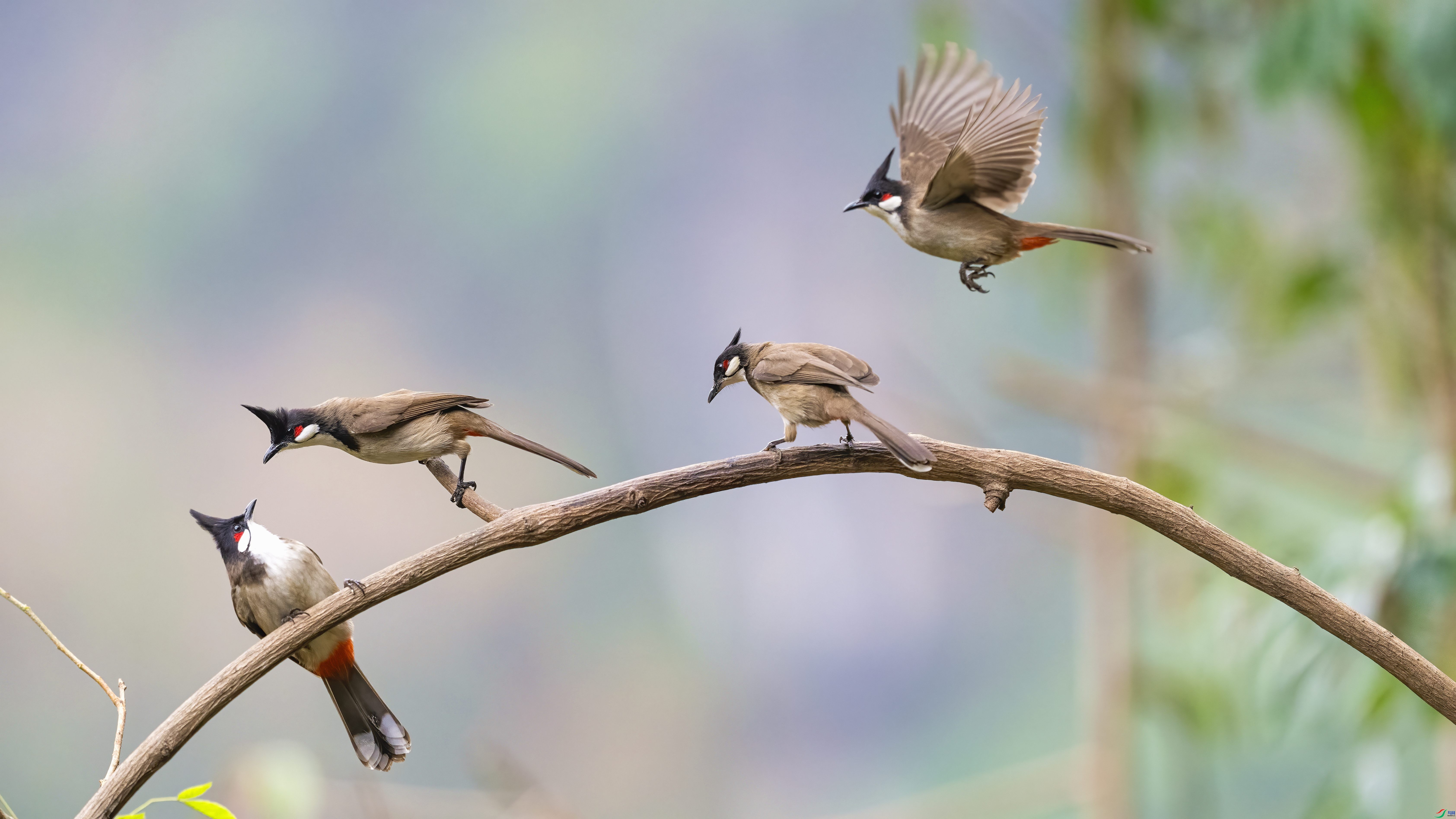 ���ֵĺ����  ���� Сƽ �ܶ�.jpg