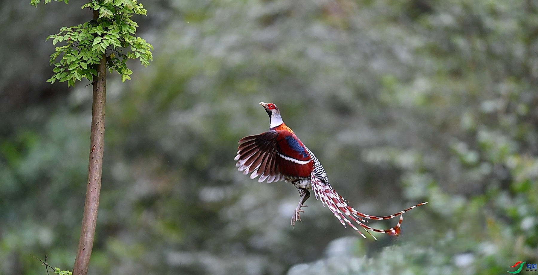 ������� ���� ����뻳 �ܶ�.jpg