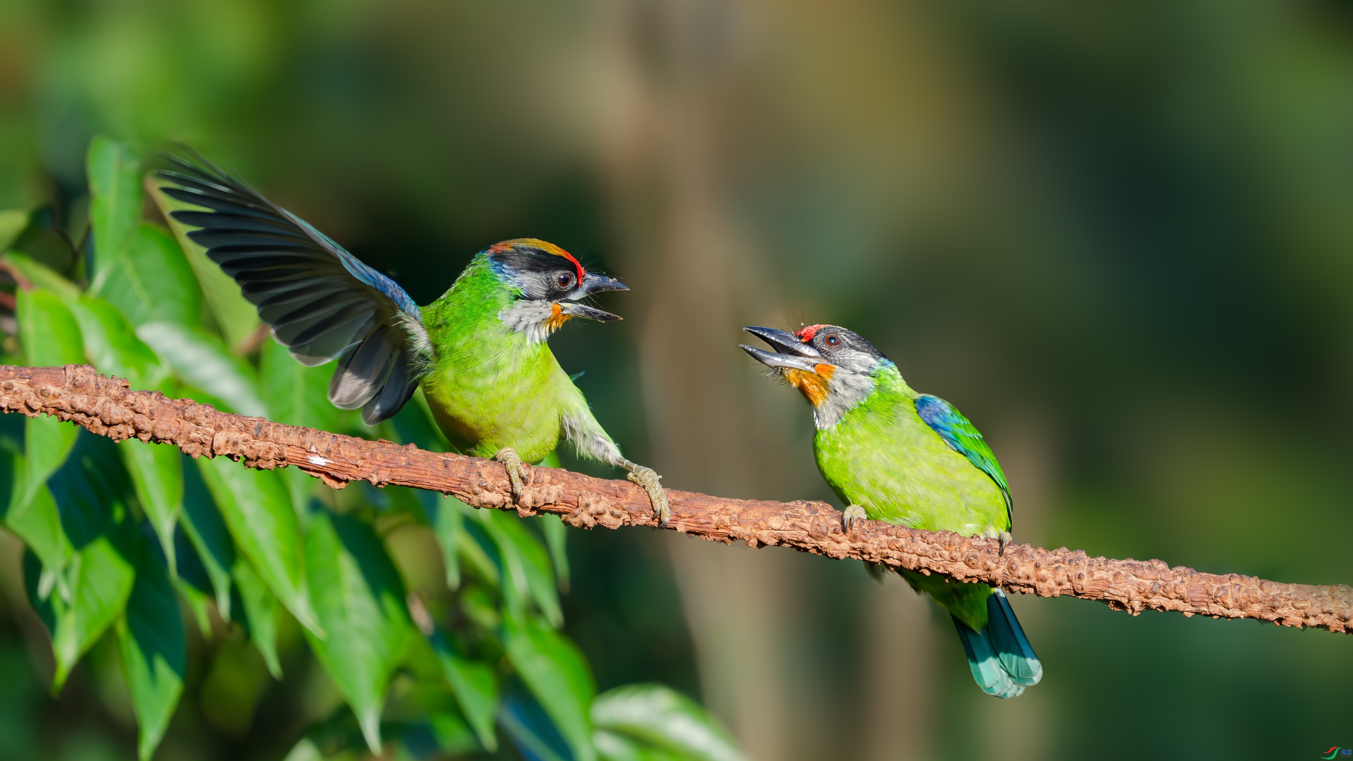 ���� ���� С�׺� ����.jpg