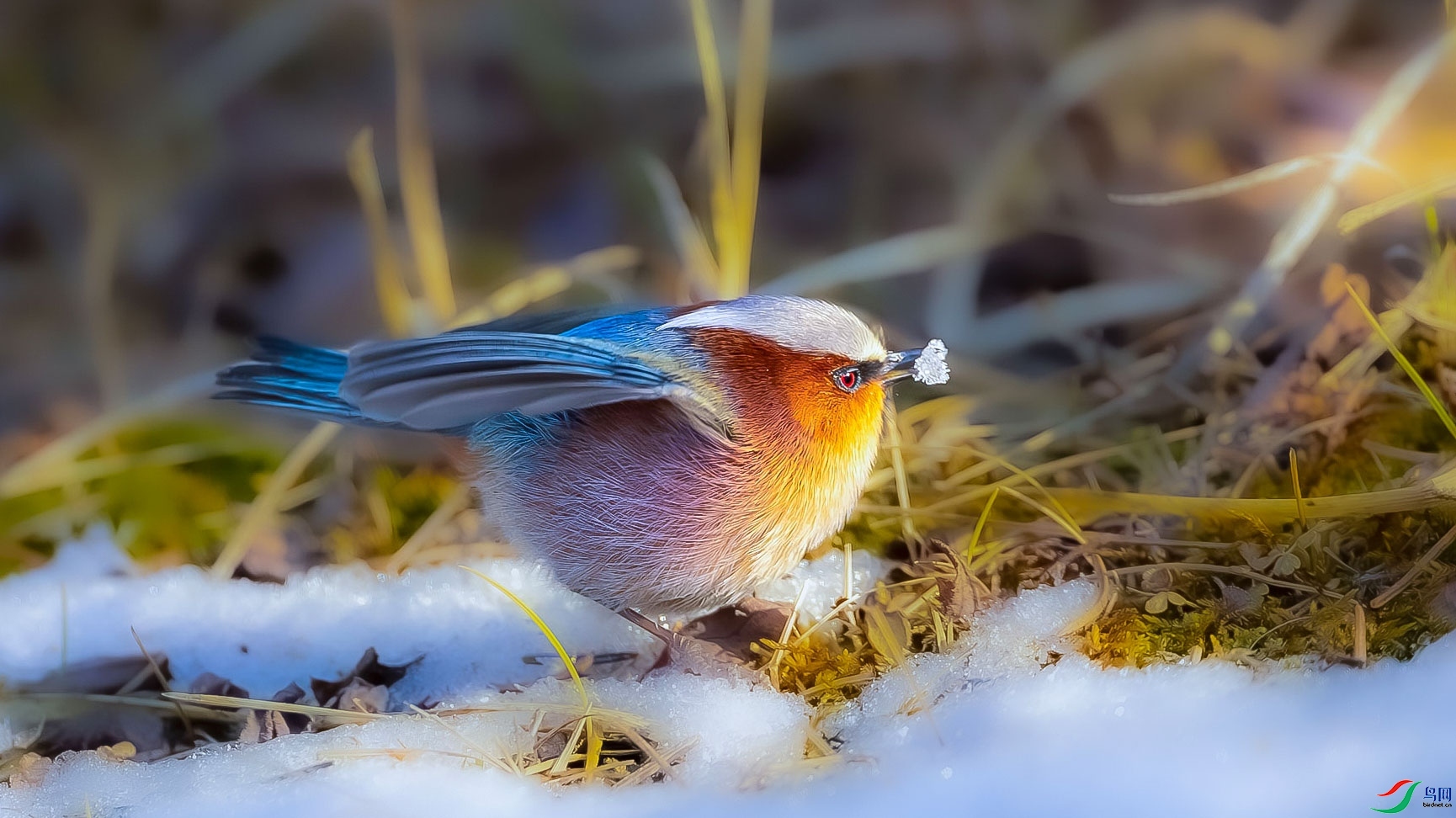 ����  ���� ɳ���Խ� ����.jpg