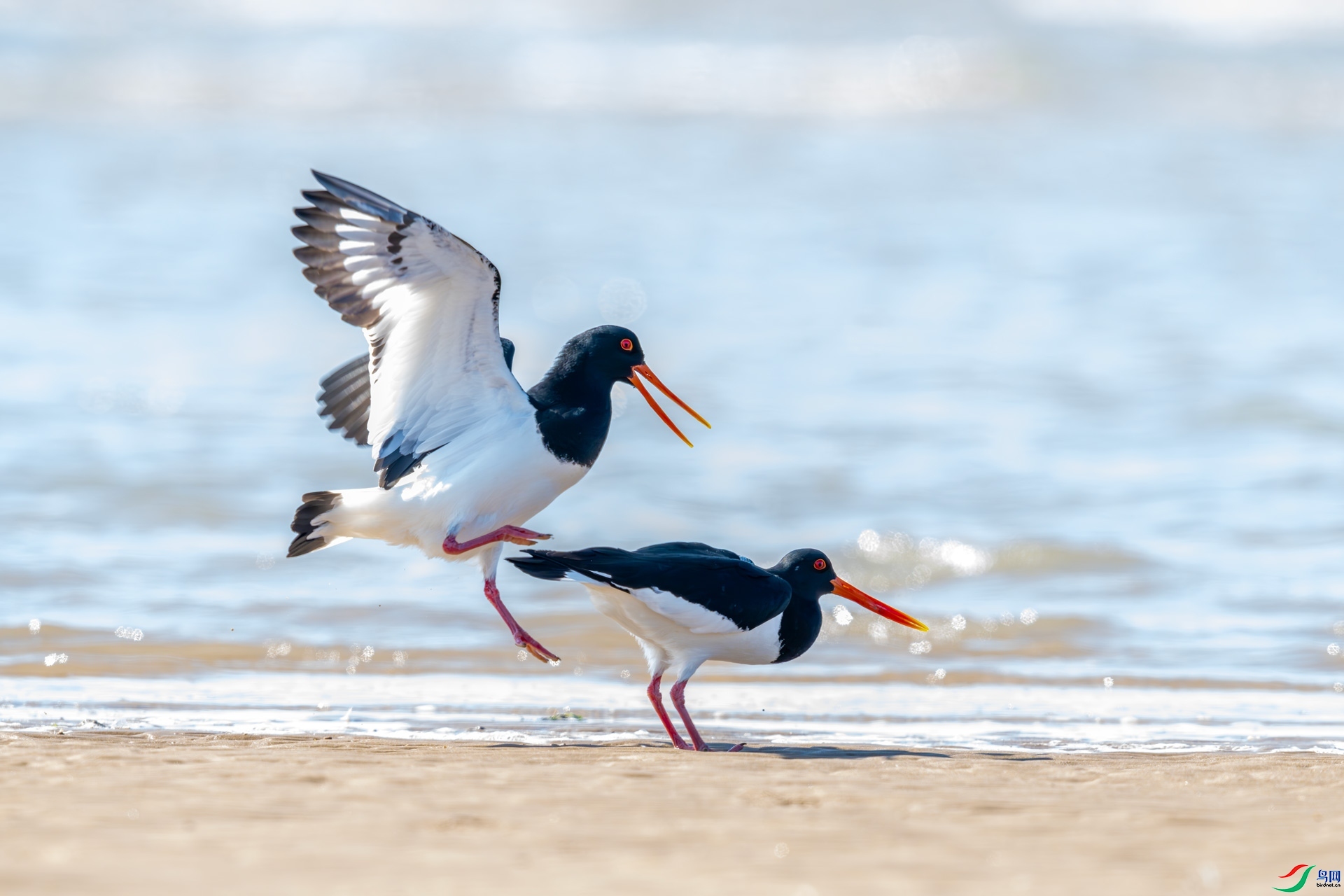 ���Ĵ���  ���� 0459����  ����.jpg