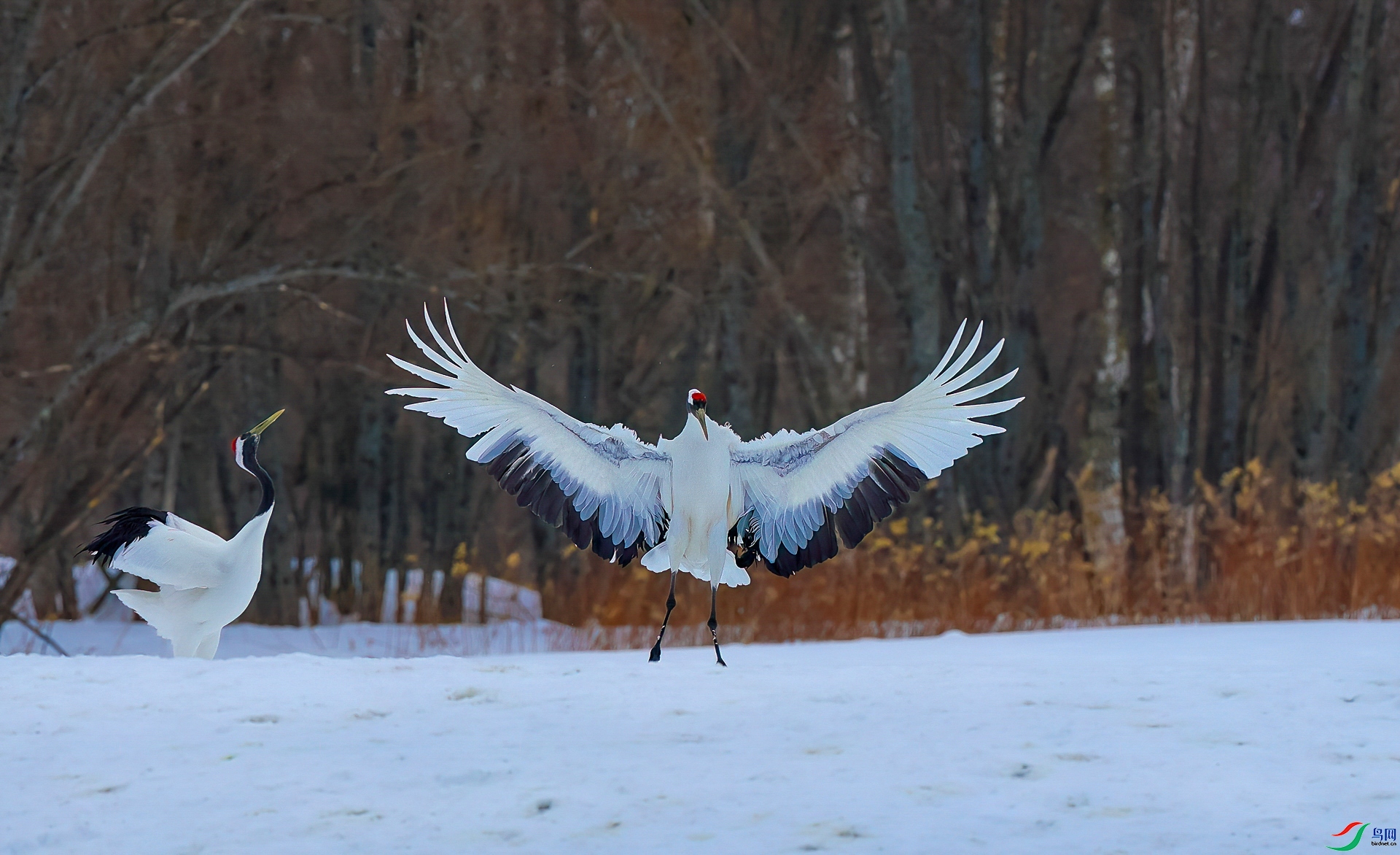 ����  ���� ���� ����.jpg