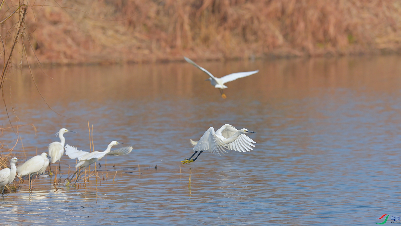 4DSC_7891_DxOa.jpg