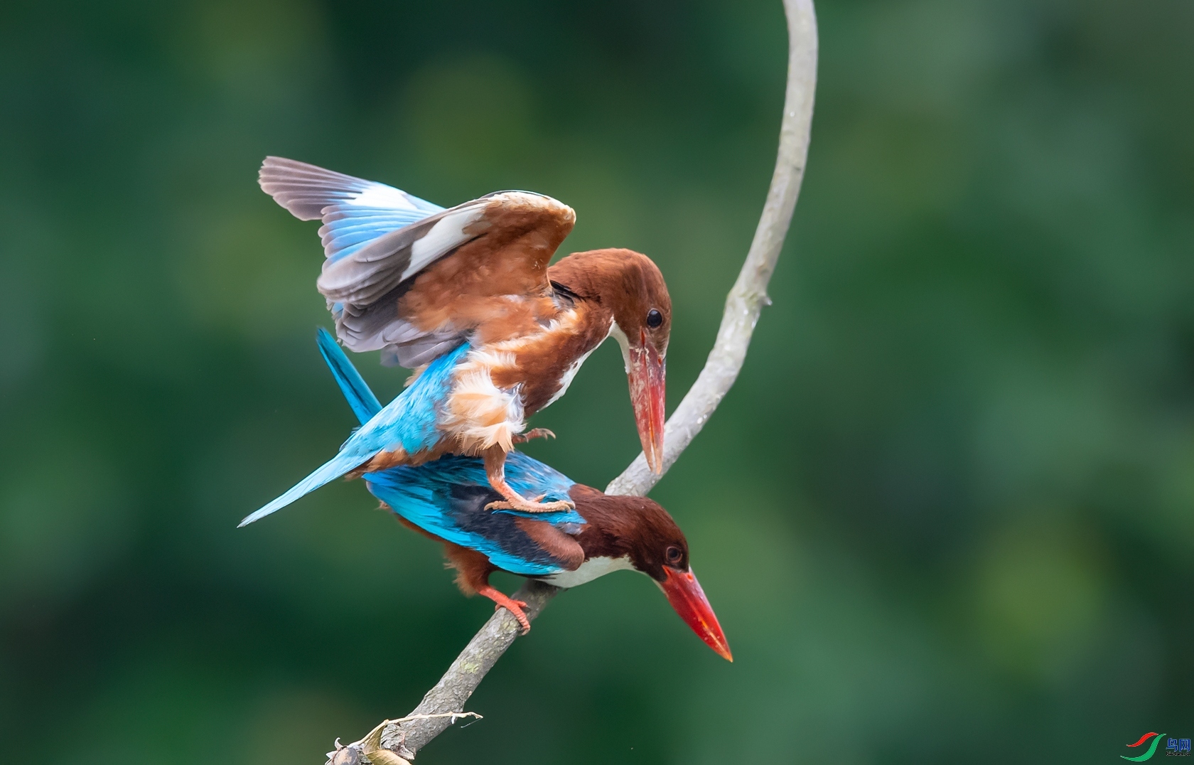 ����  ���� ���� ����.jpg