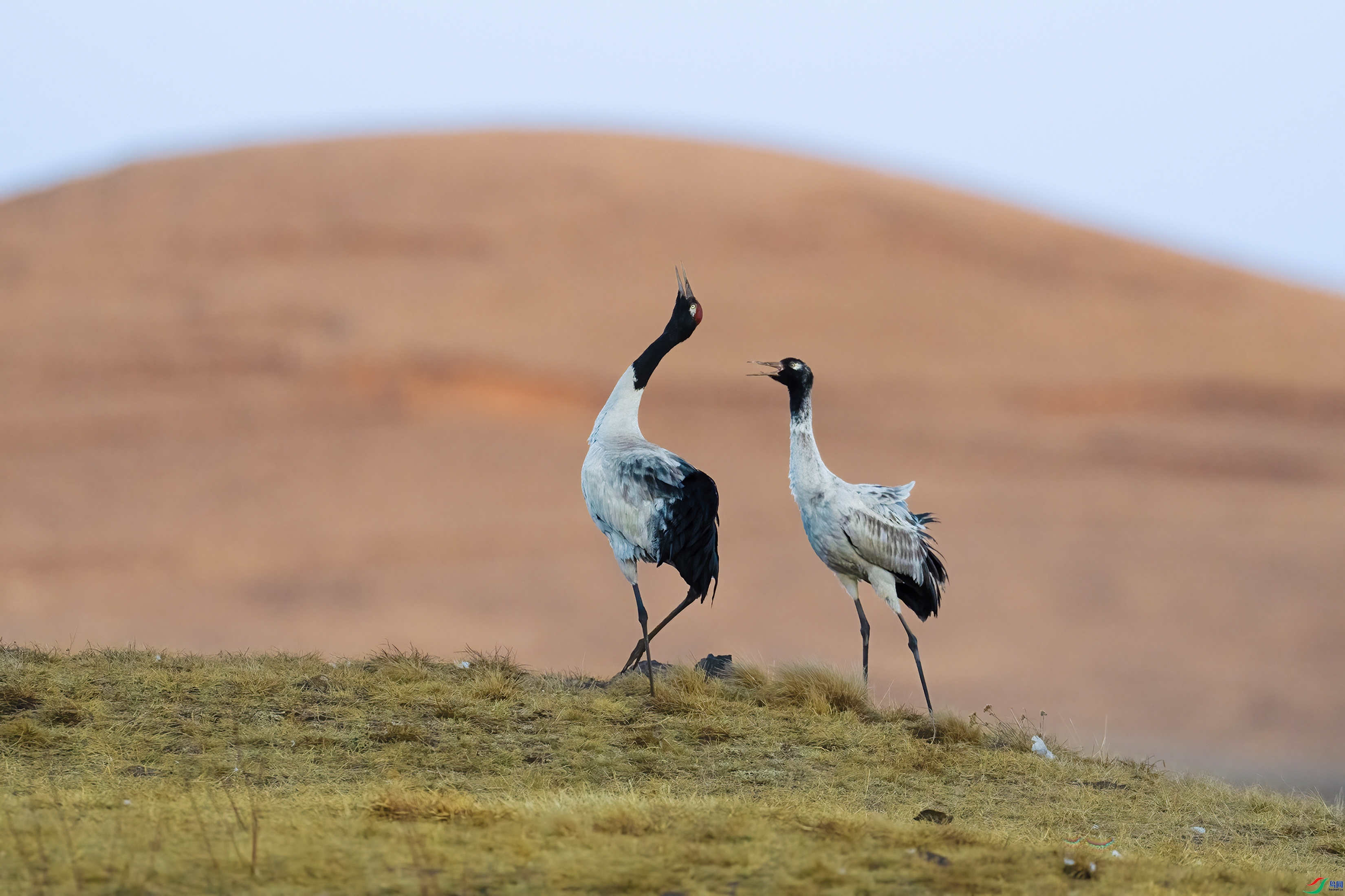 ɽ�ĺ���  ���� ����· ����.jpg