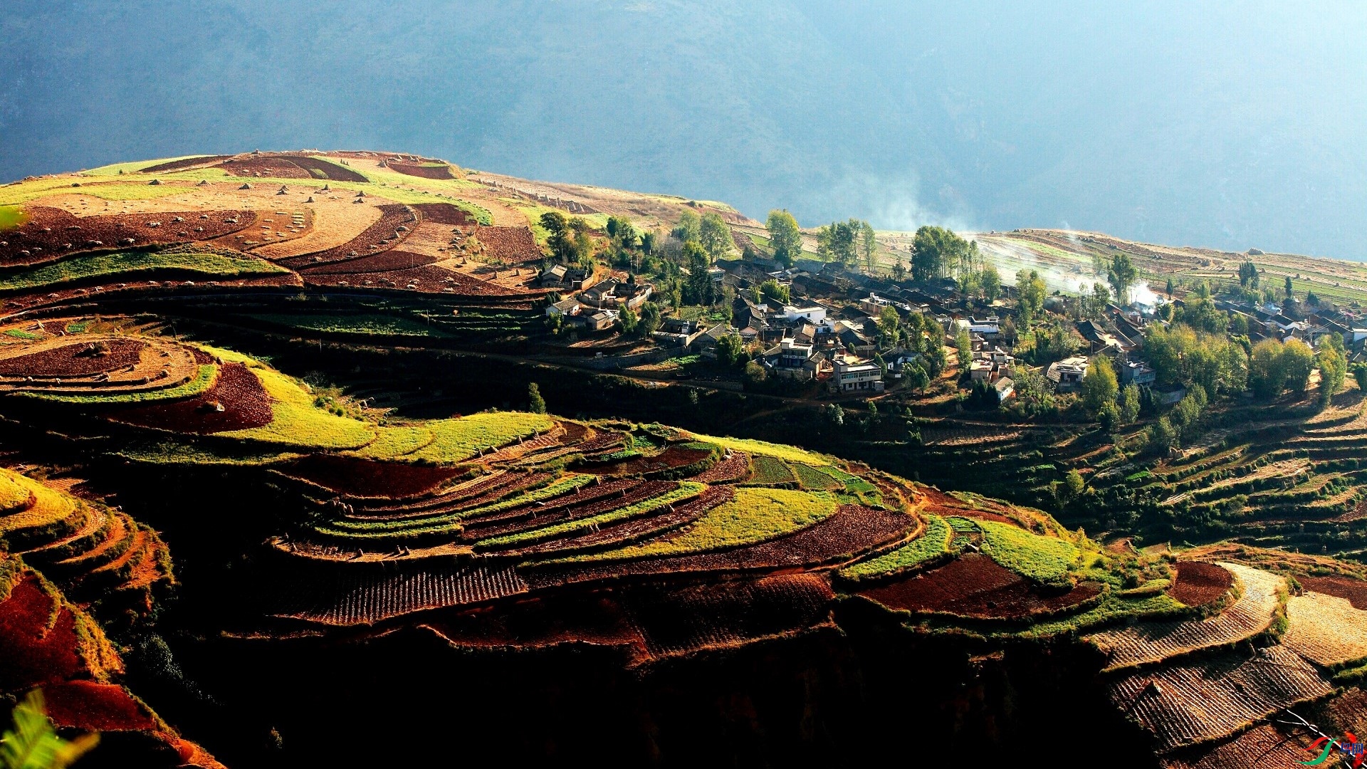 2016-01-27 16.50.05.jpg