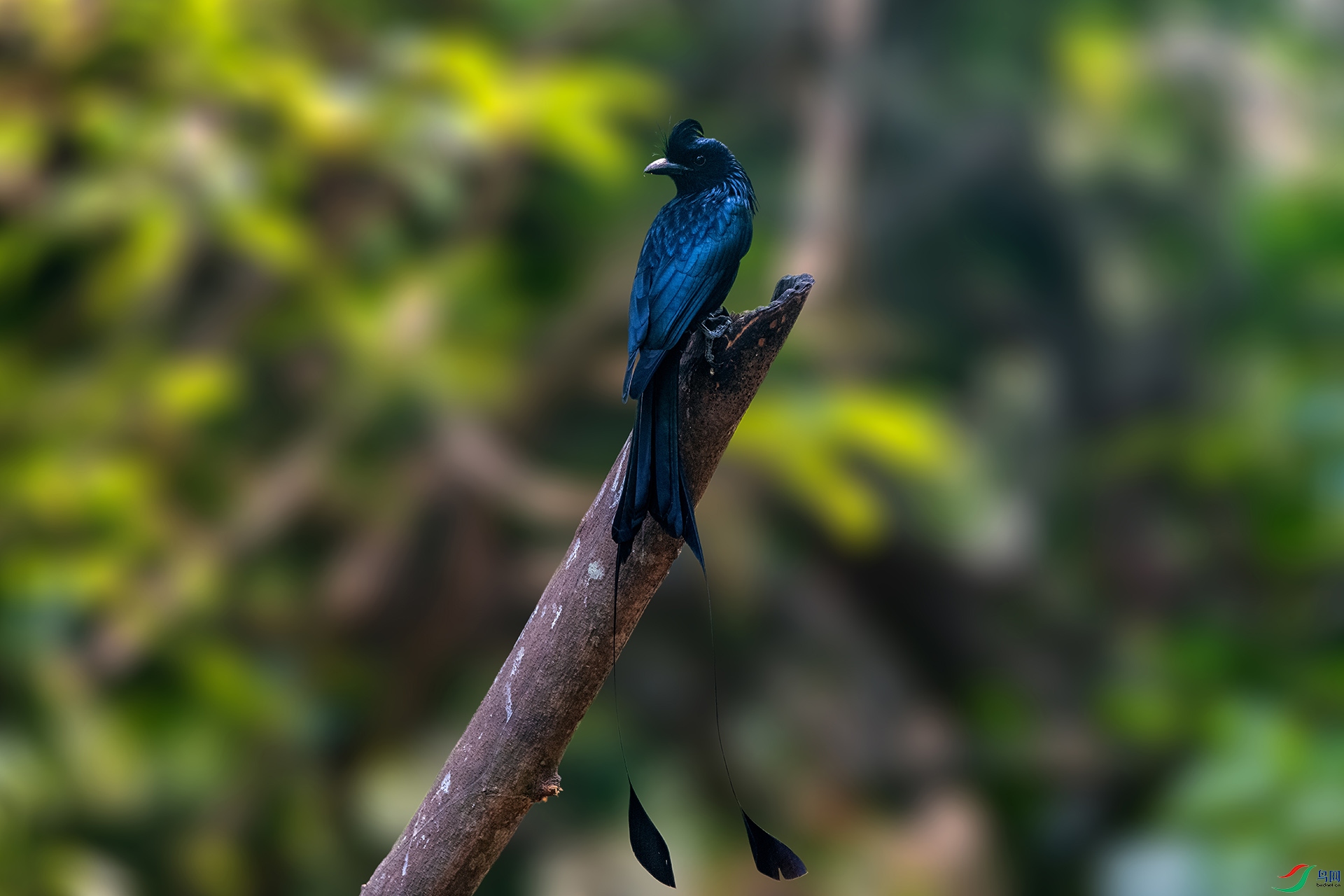 _AUU9159����β(24.2.22).jpg