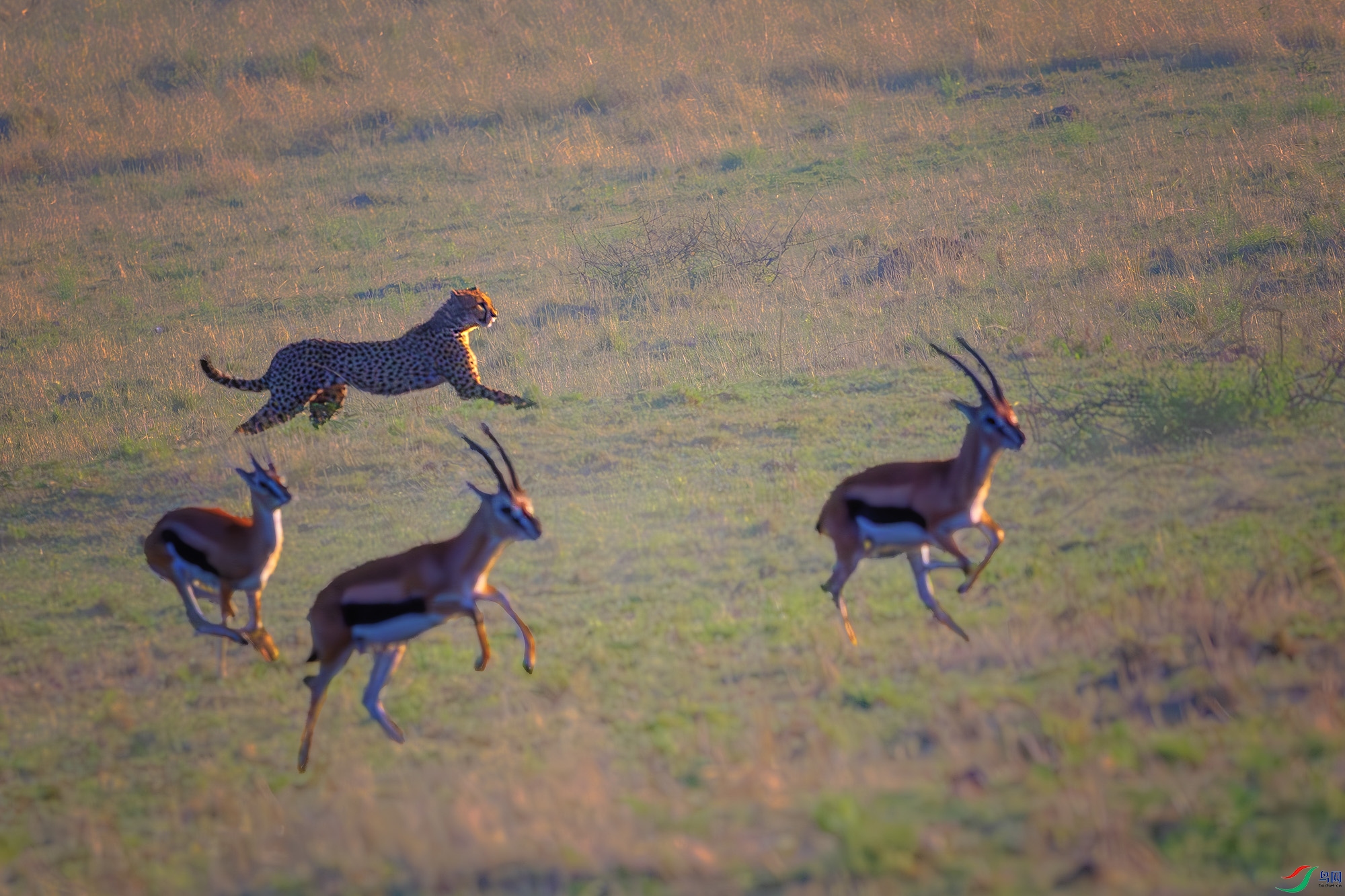 _DSC1214-����ǿ-NR ����_1.jpg