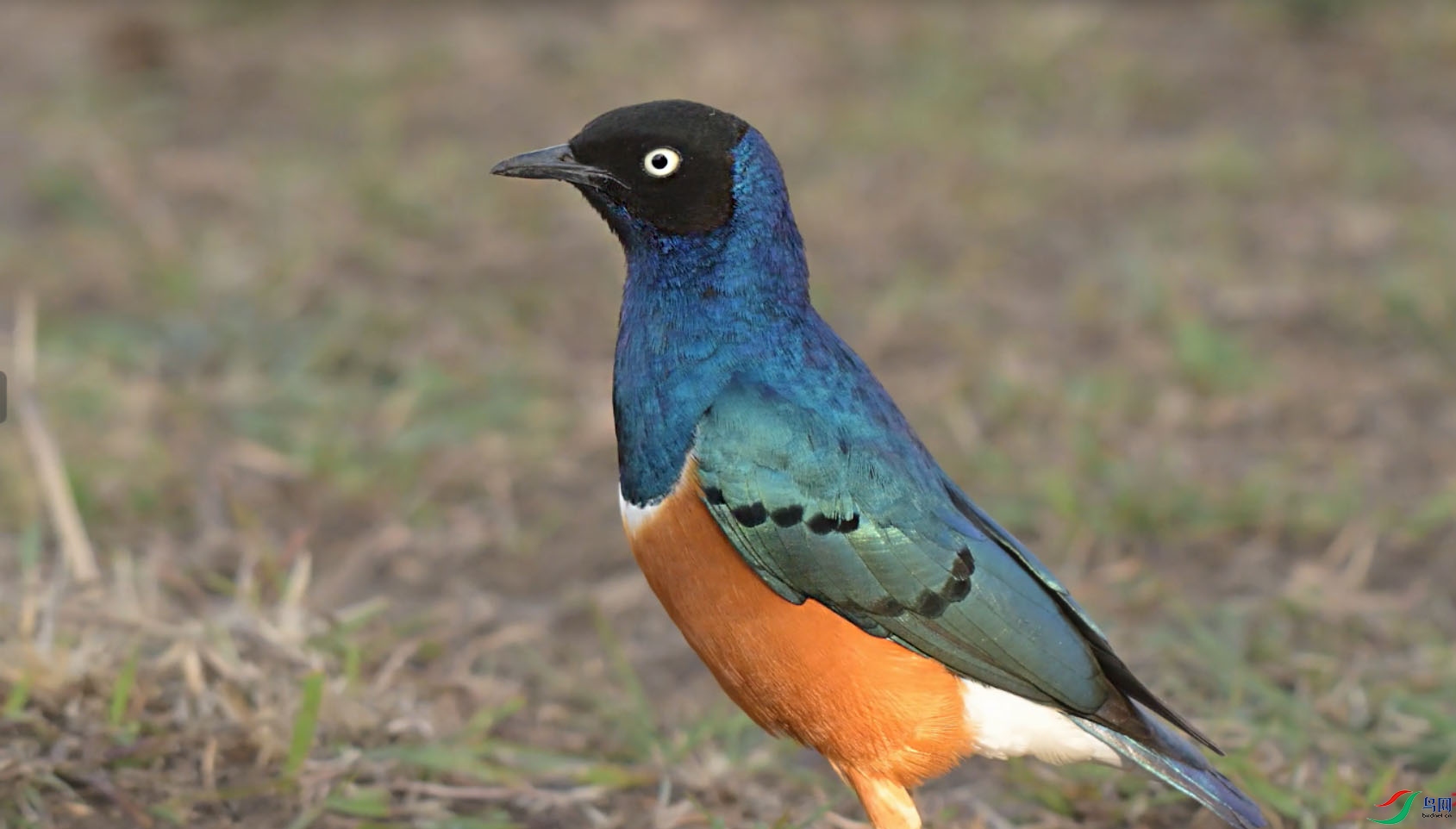 {57FA8DDF-E2B1-4C2C-A73B-41128156FD5E} ����.jpg