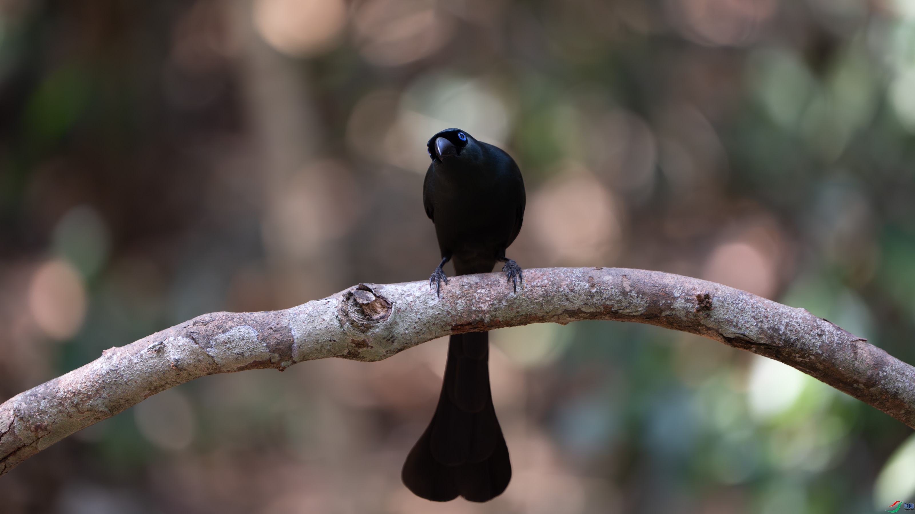 ��β��ȵ (7).jpg