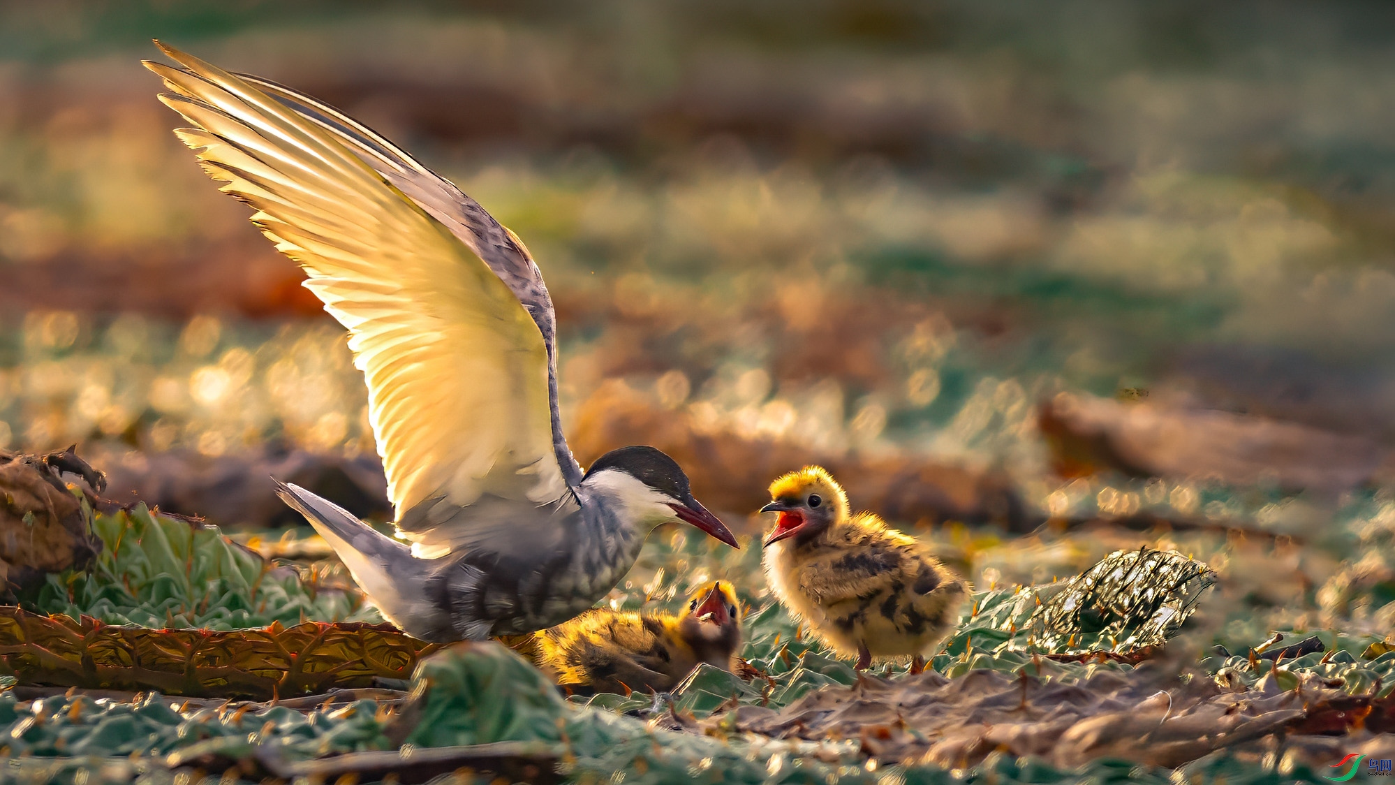 DSC_1216 ���� 2.jpg