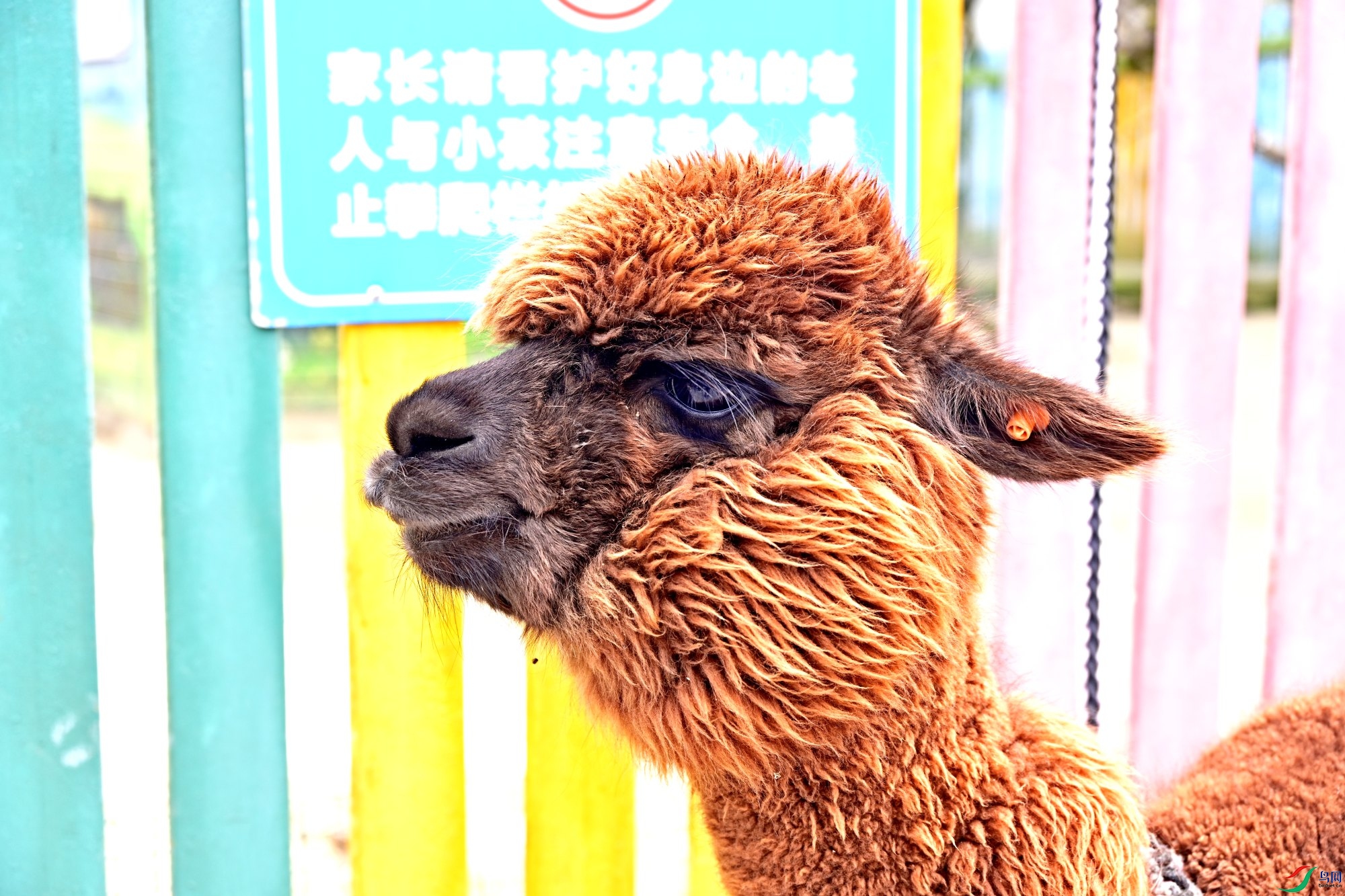 _1081206_����.jpg