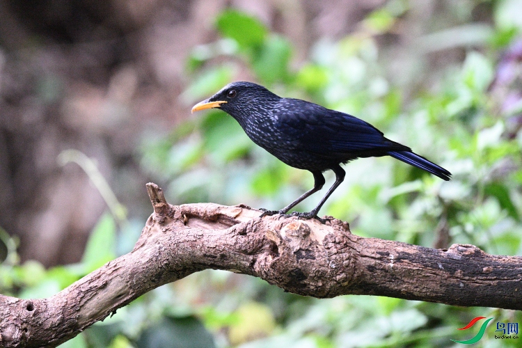 DSC_9455.JPG