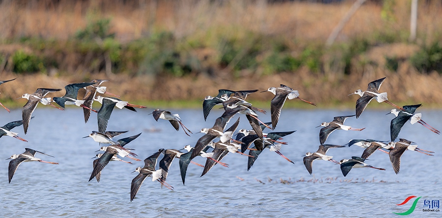 6H7A9566 ����.jpg