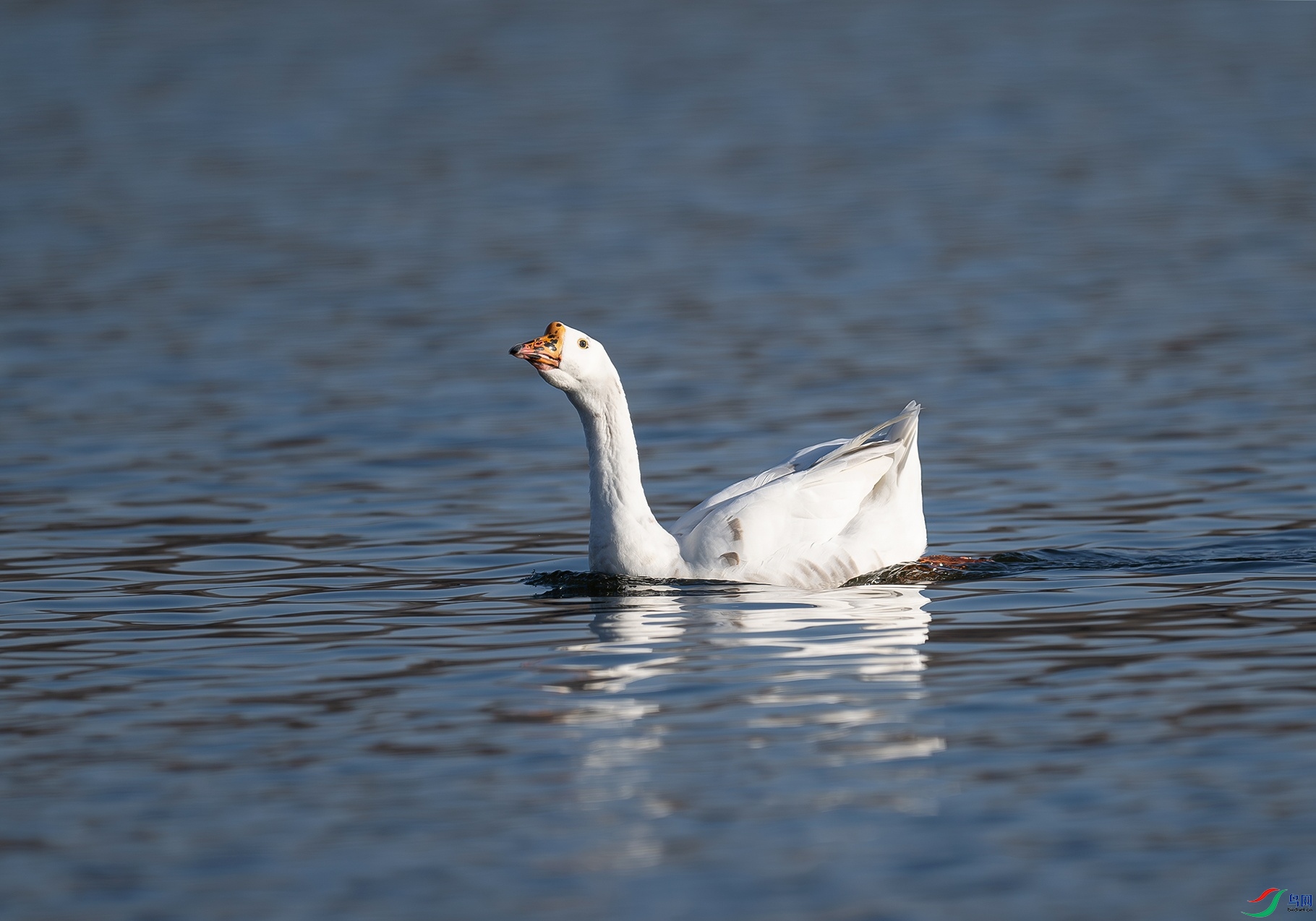 DSC_4506f_��ͼ��.jpg