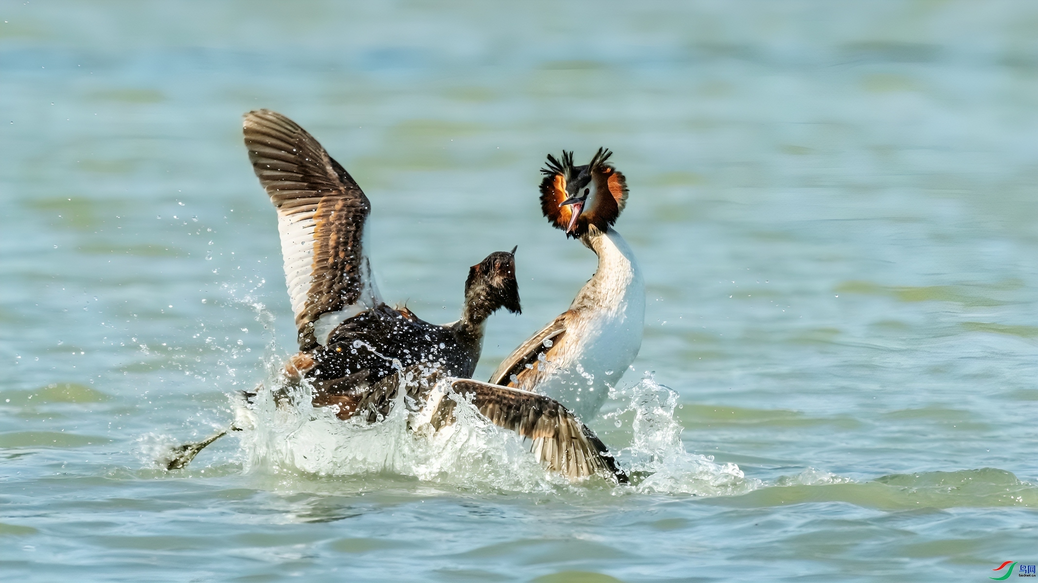 3.28СС�ո���ʦ��Ʒ   �������� ��ף���ٻ����������.jpg