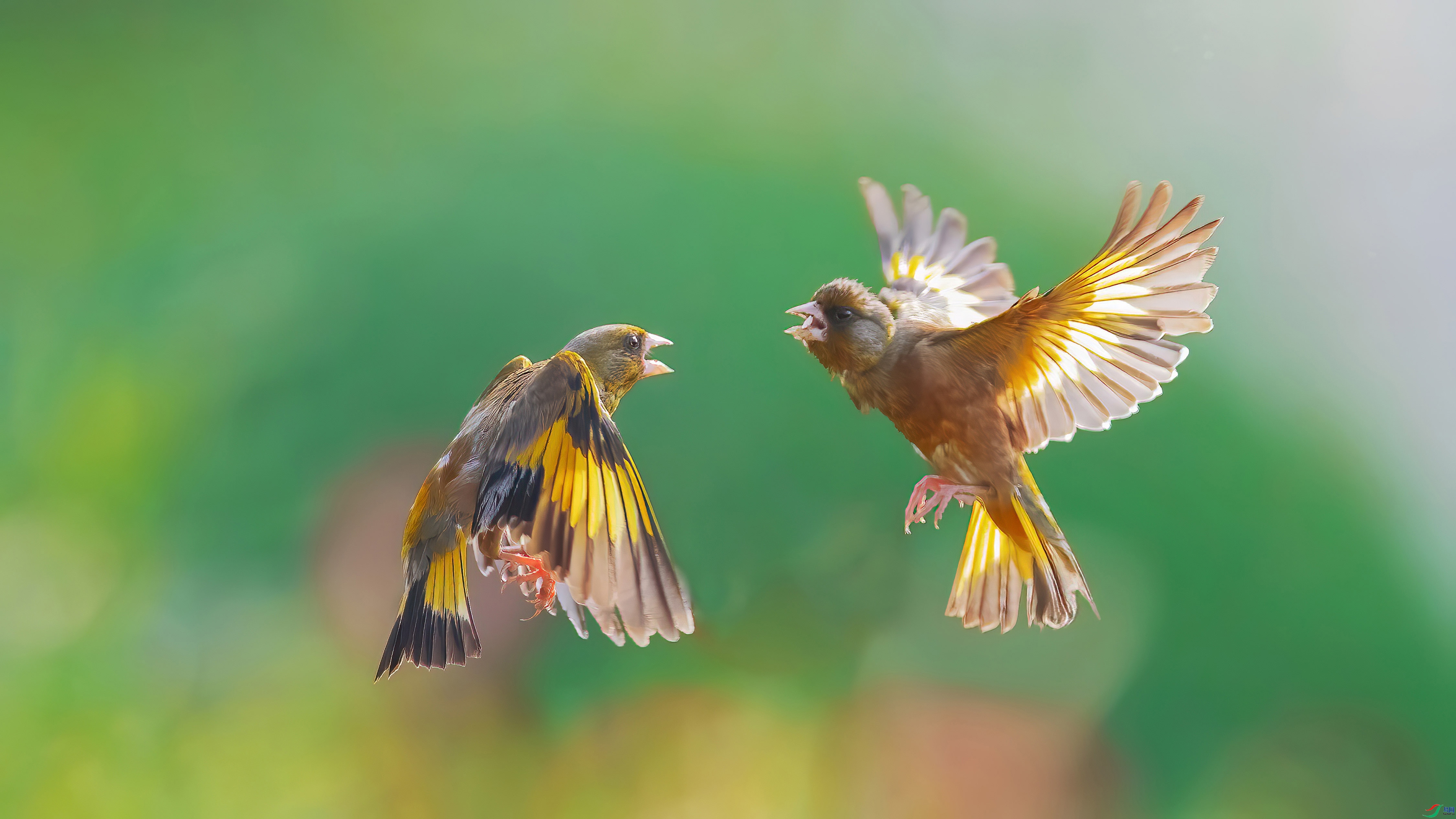 3.29��������ʦ��Ʒ   ���ж��� ��ף���ٻ����Ѿ�����.jpg