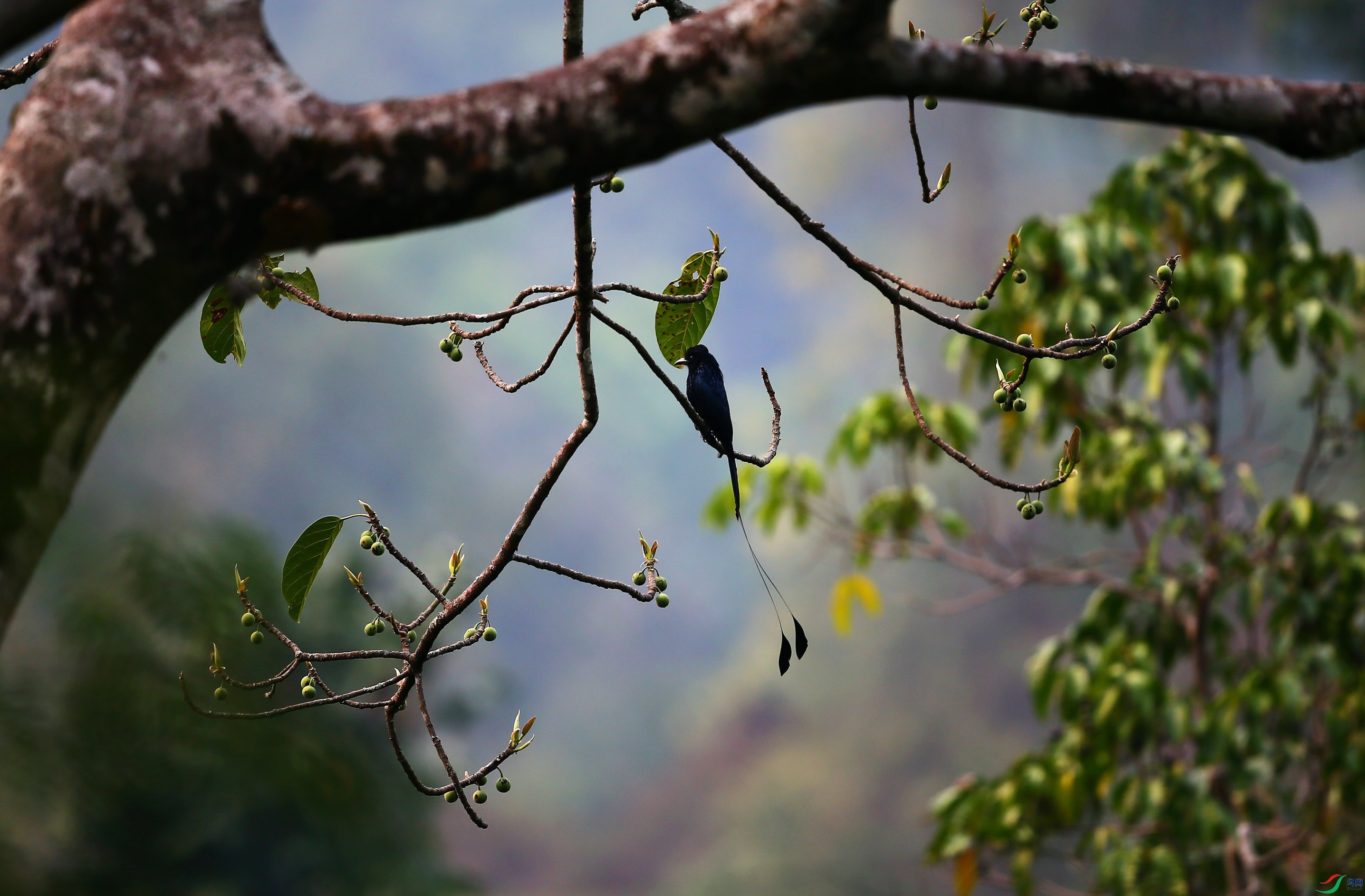 ����β (16).JPG