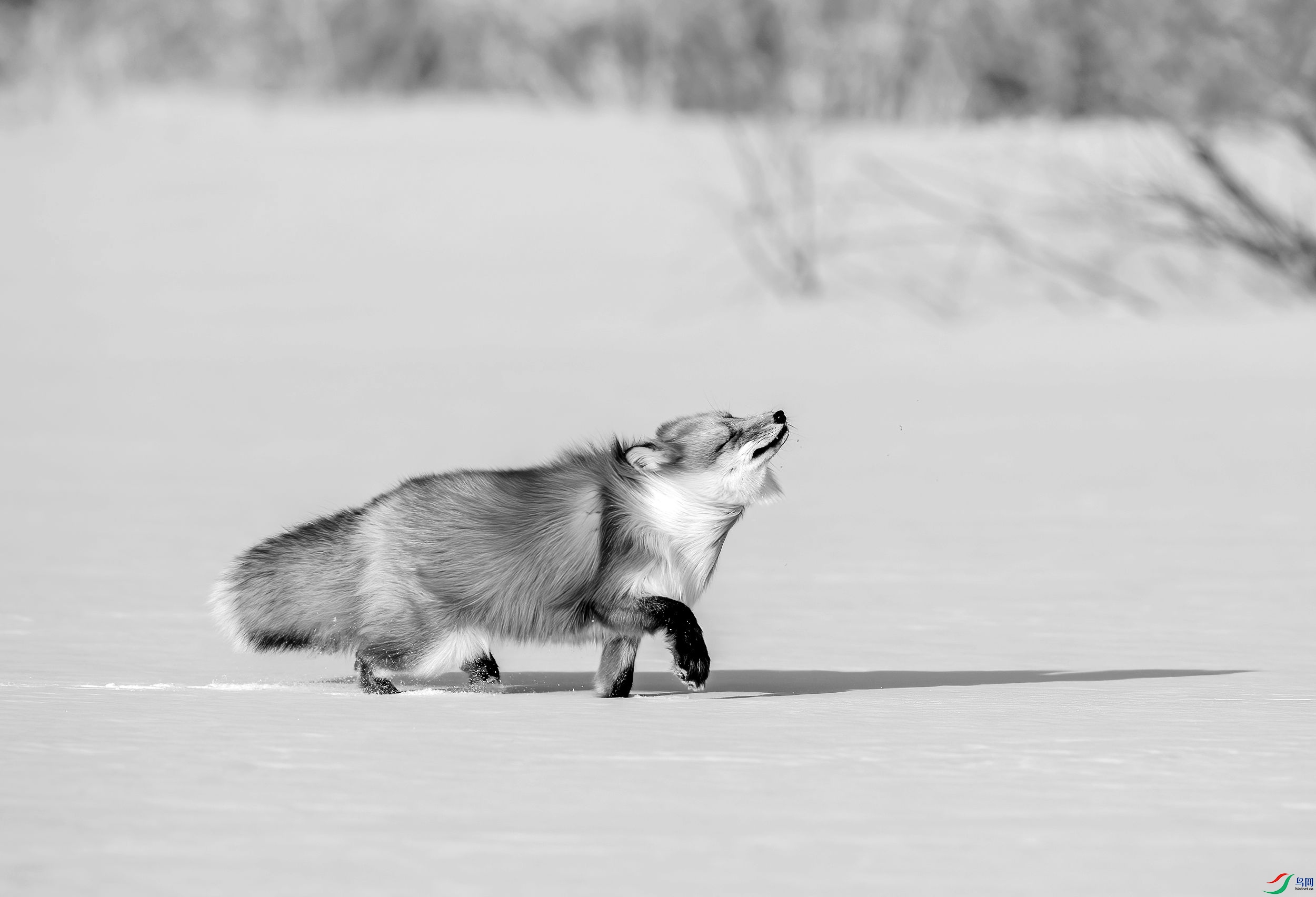 AC3I1643 ����_����.jpg