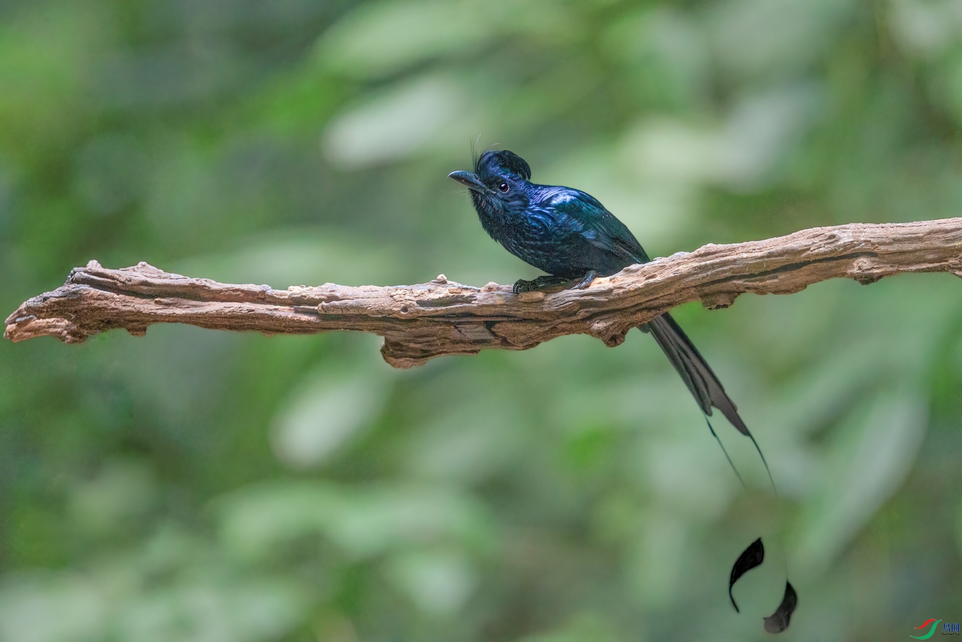 a_67809-1.jpg