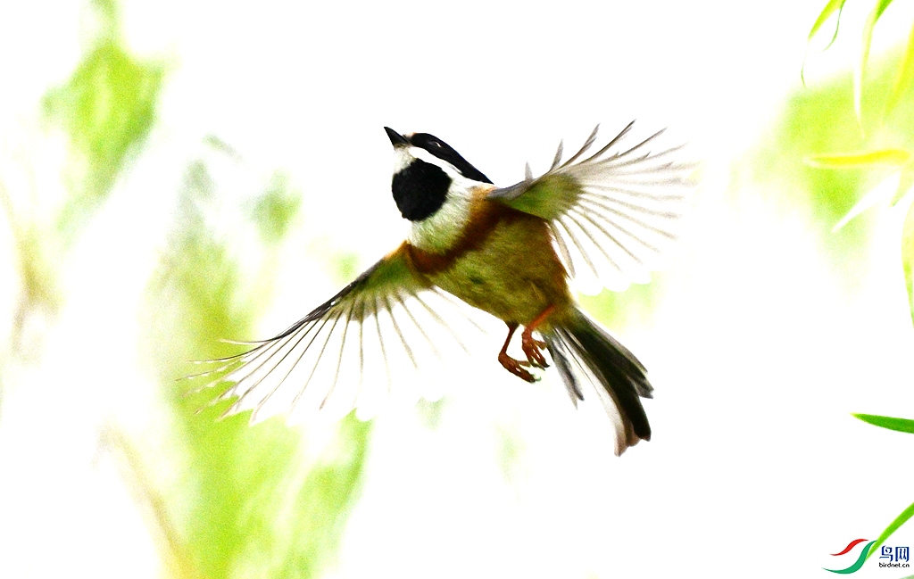 DSC_9888.JPG