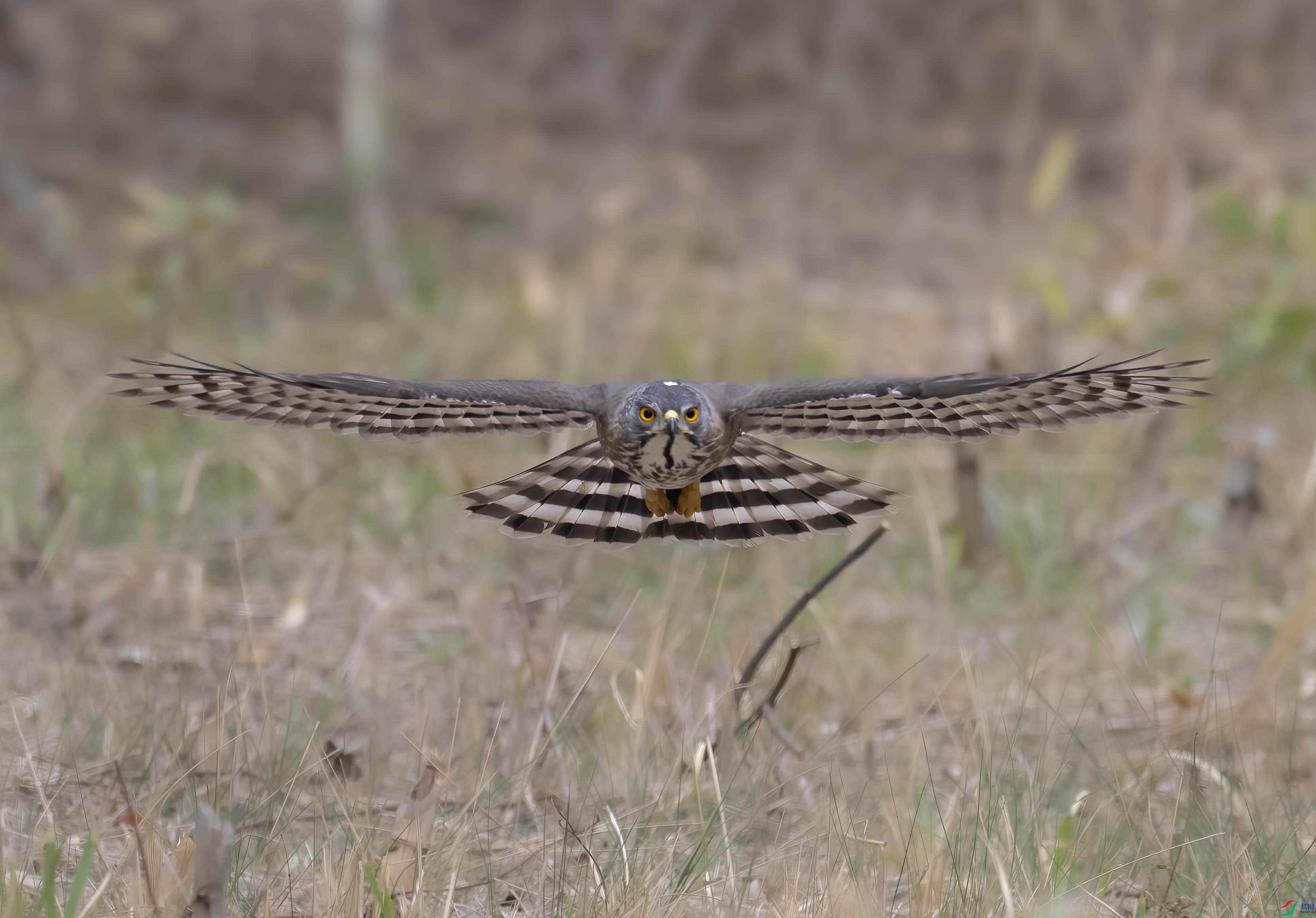 1DS_8976 ����.jpg