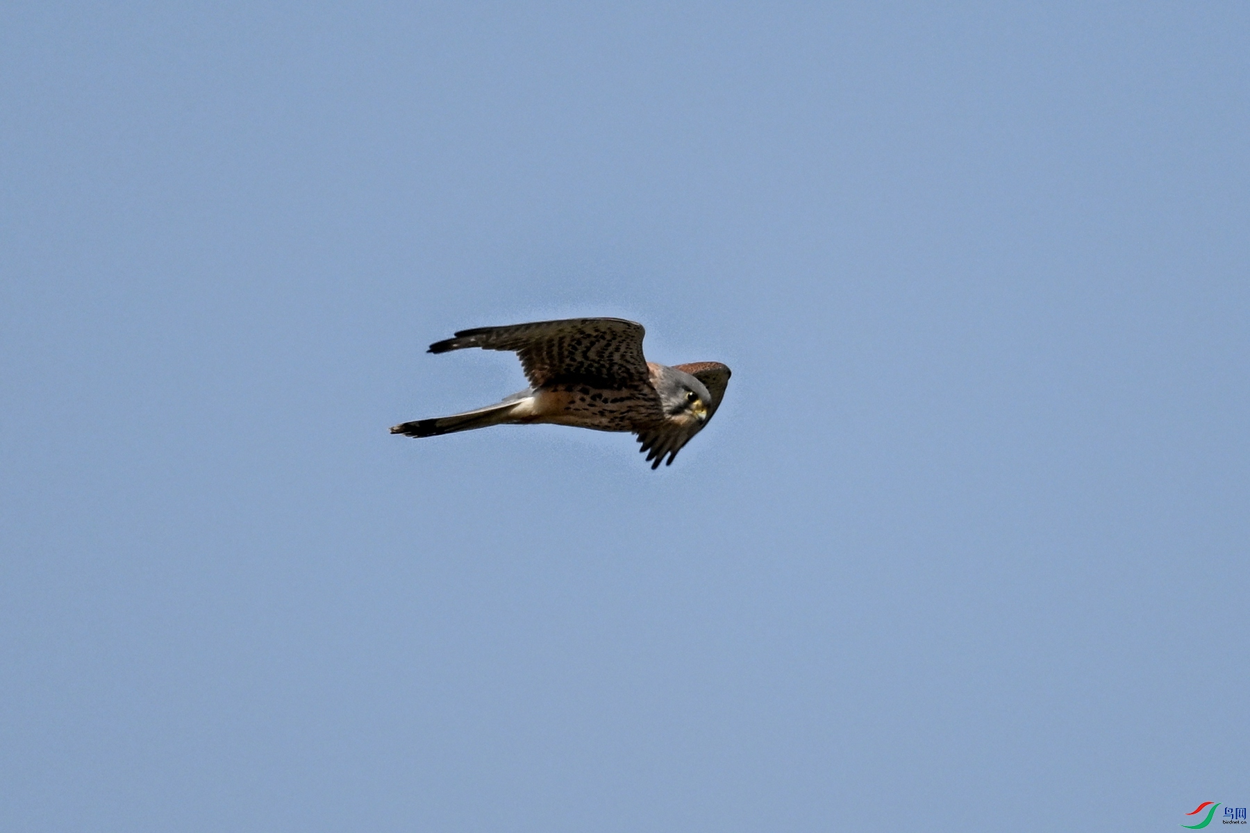 DSC_5876.JPG
