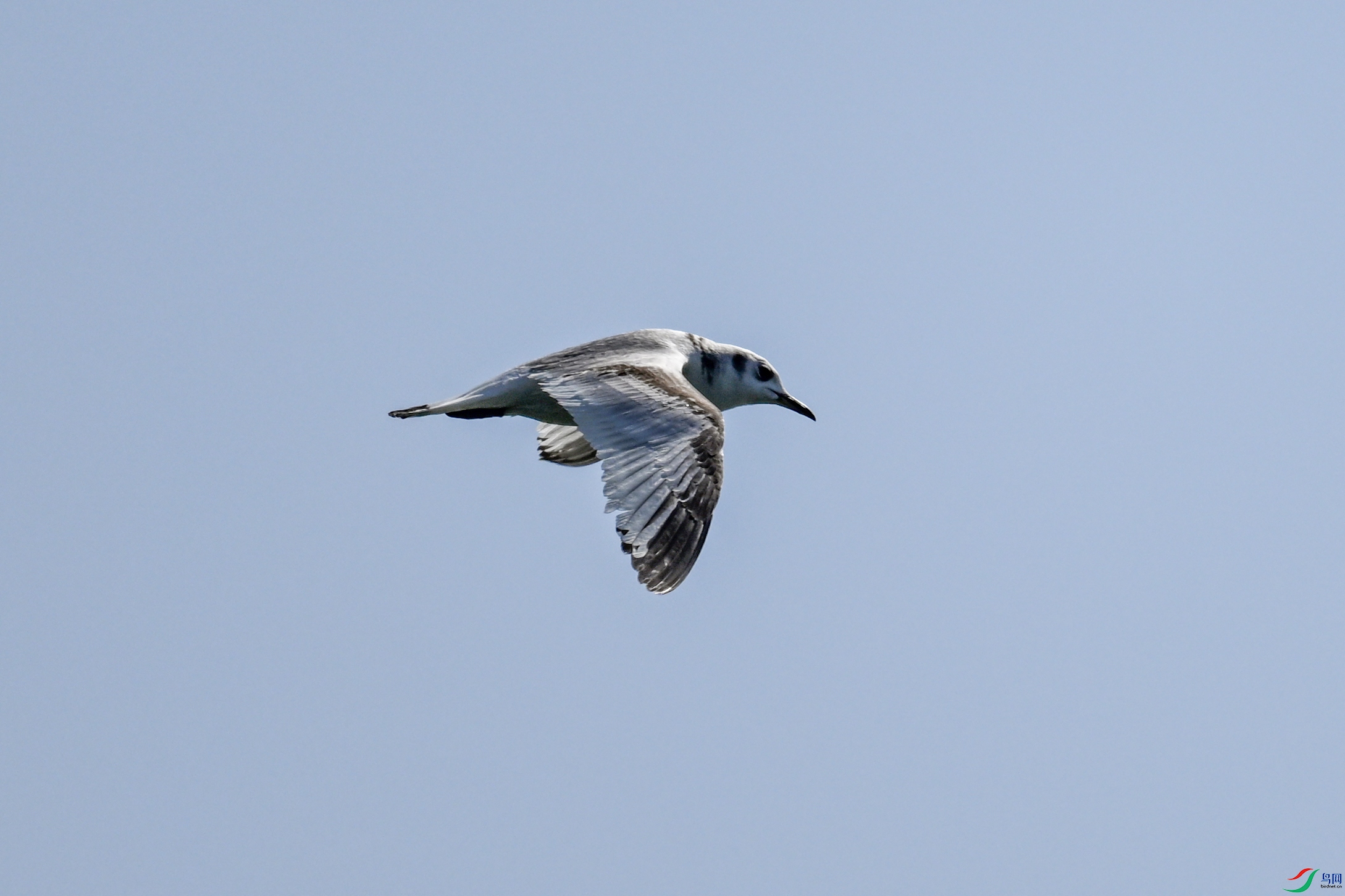 DSC_2984.JPG