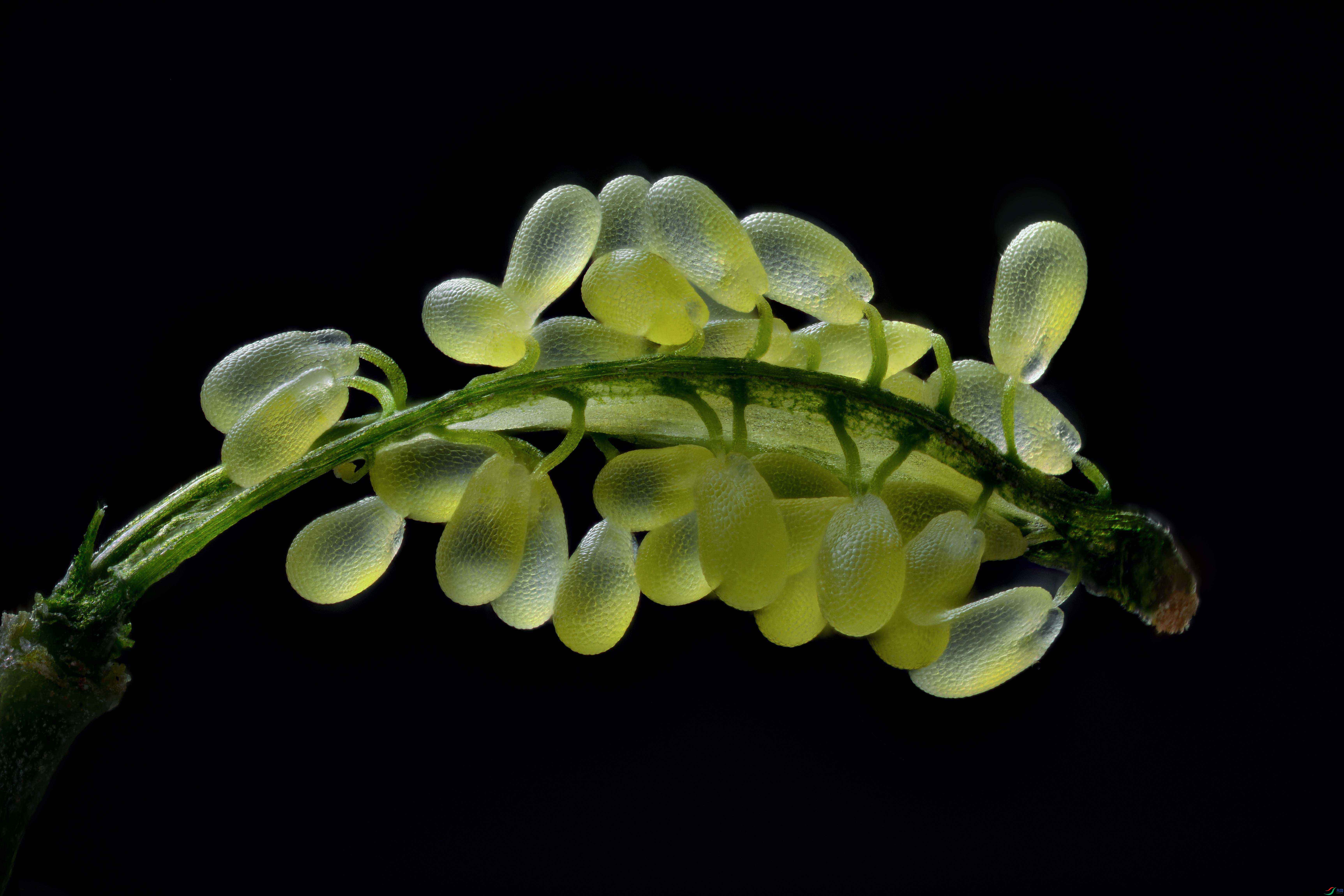 2025-03-31 20-12-30 (C,Smoothing4)-0.jpg