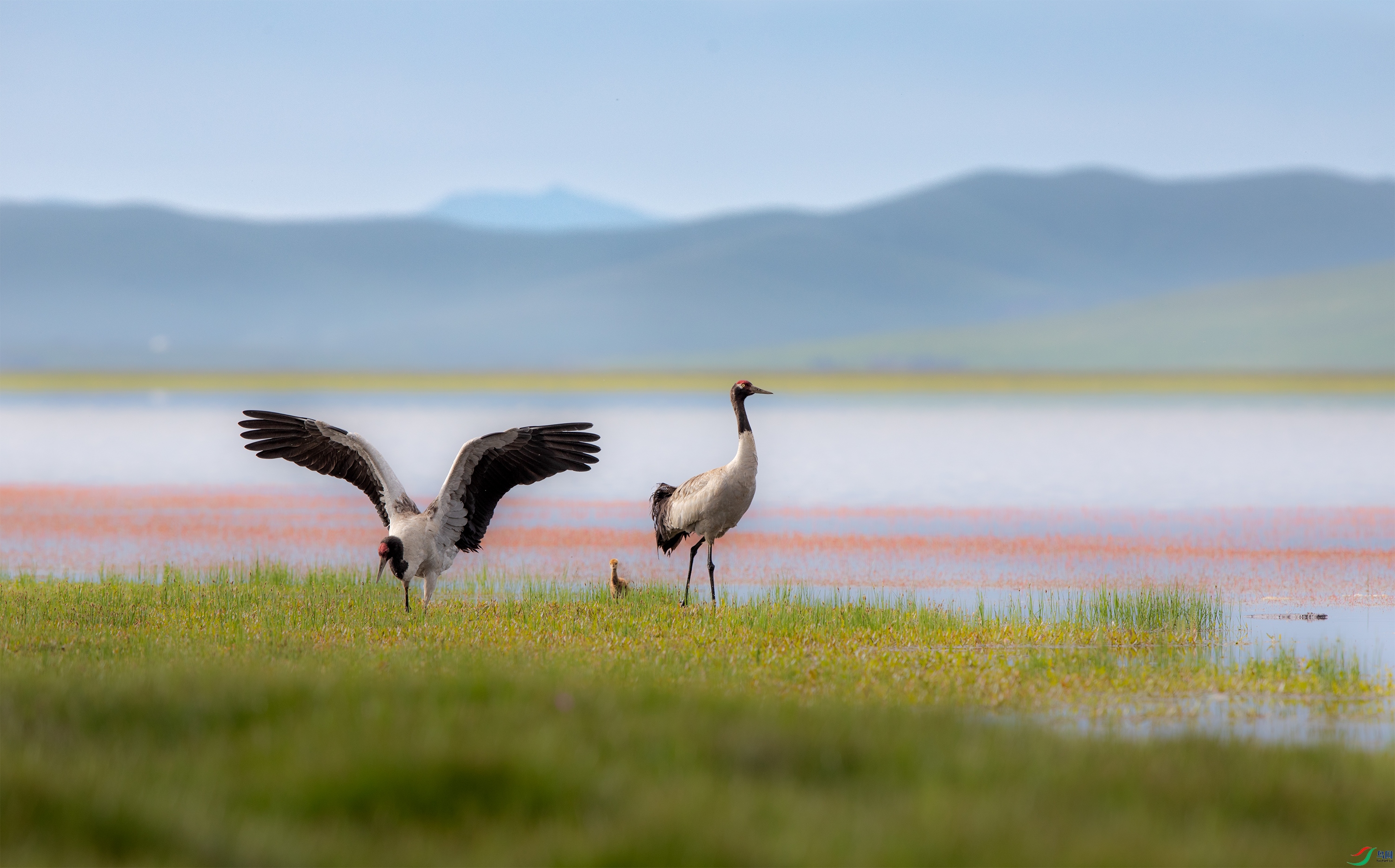 3S5A3346 ����.jpg