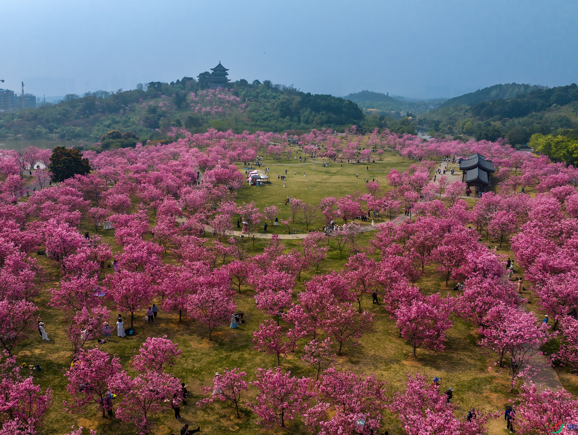 DJI_20250325104248_0118_D ����a ����.jpg