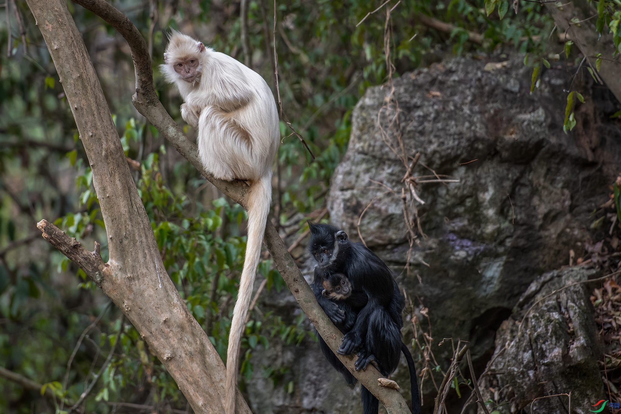 DSC_9490 ���� aaaa11.jpg